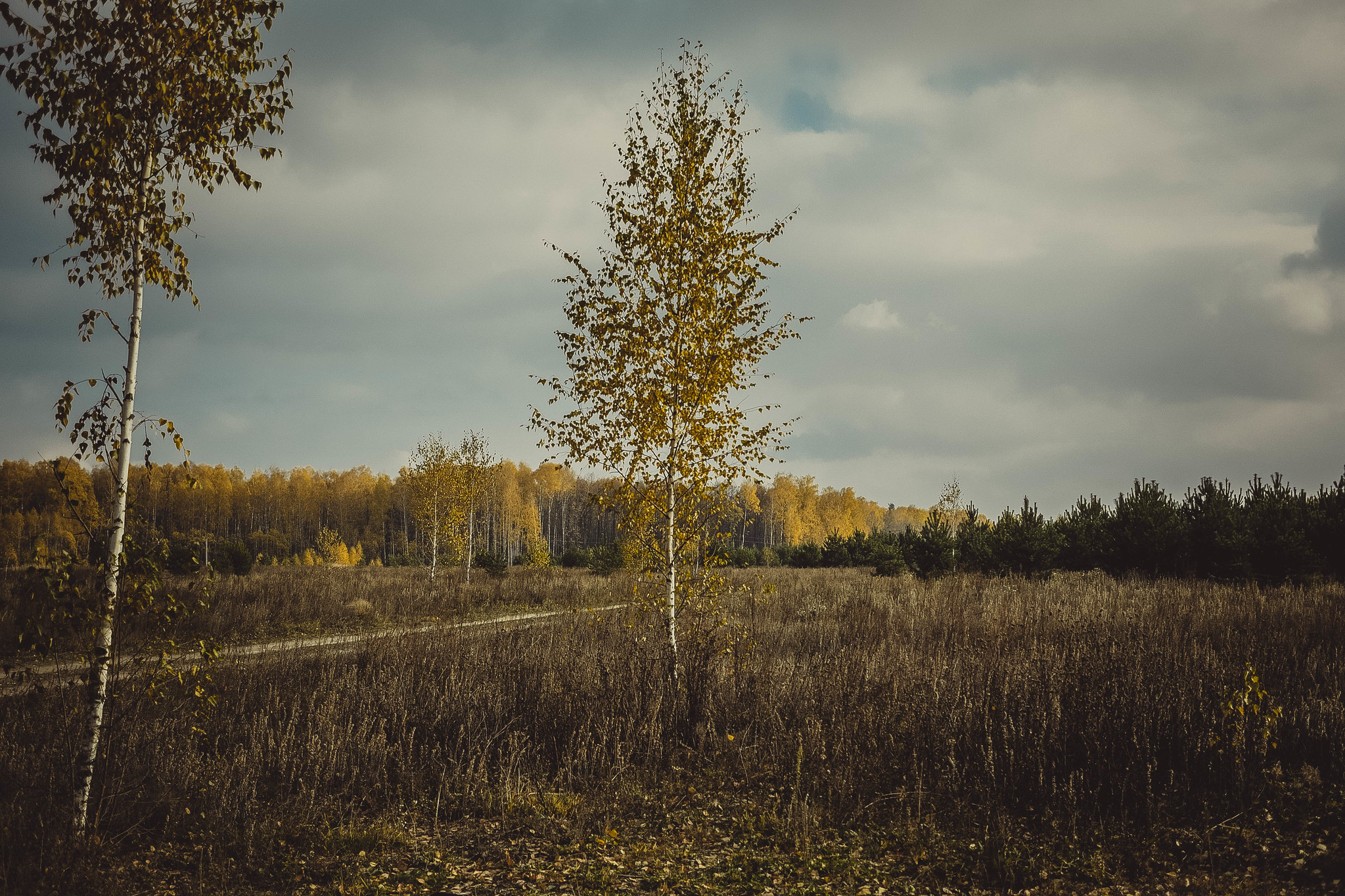 Семиозерка