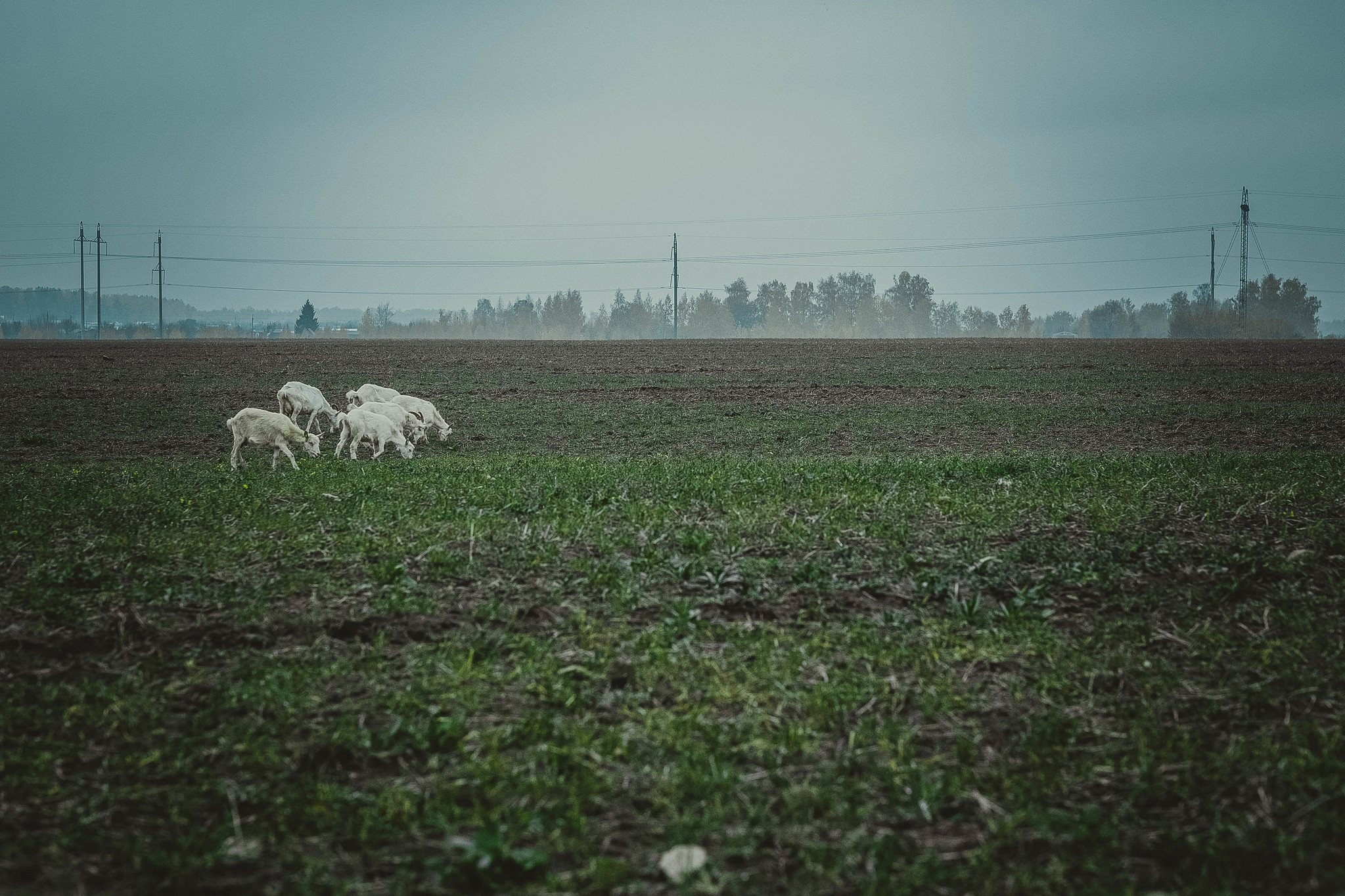 Семиозерка