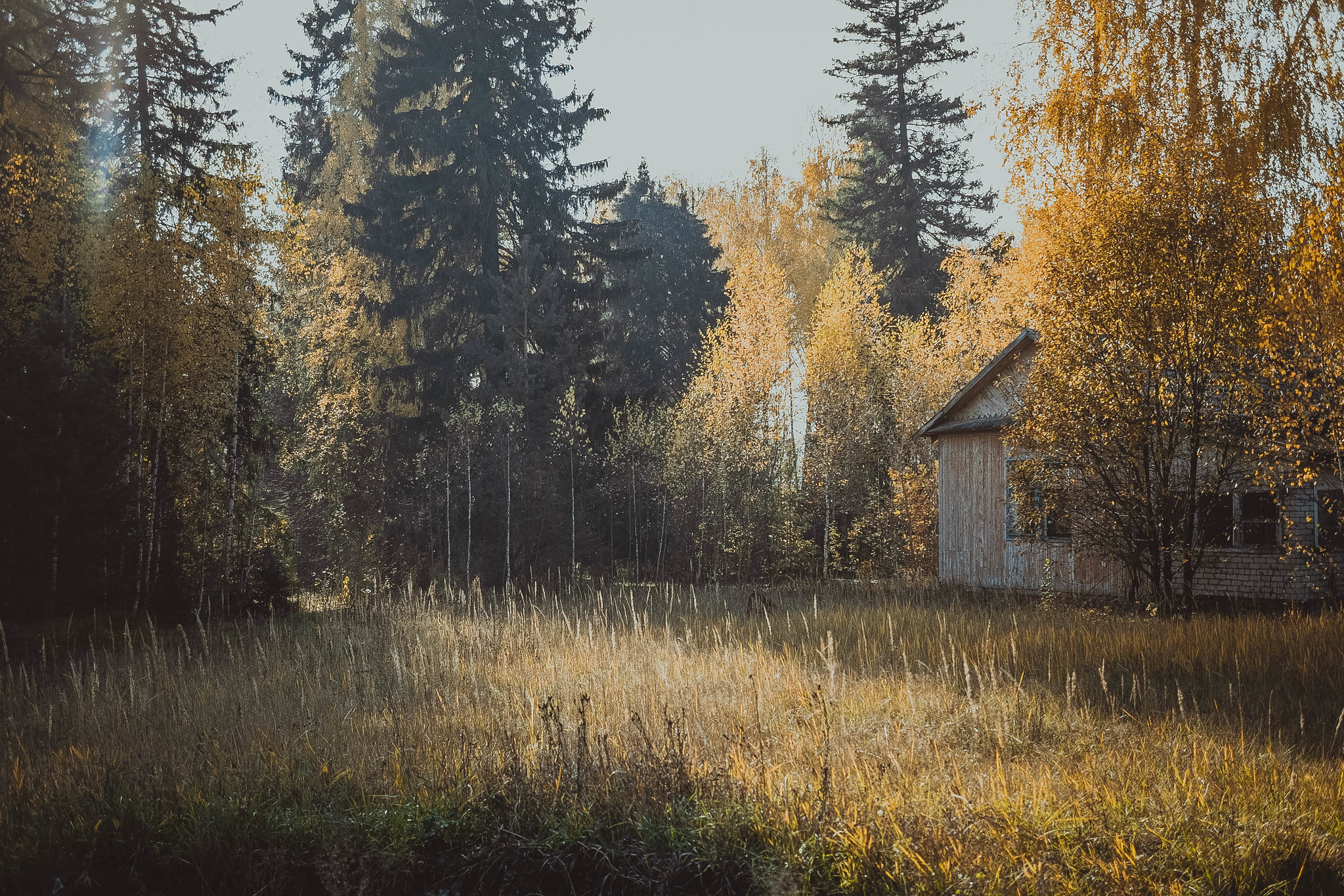 Семиозерка