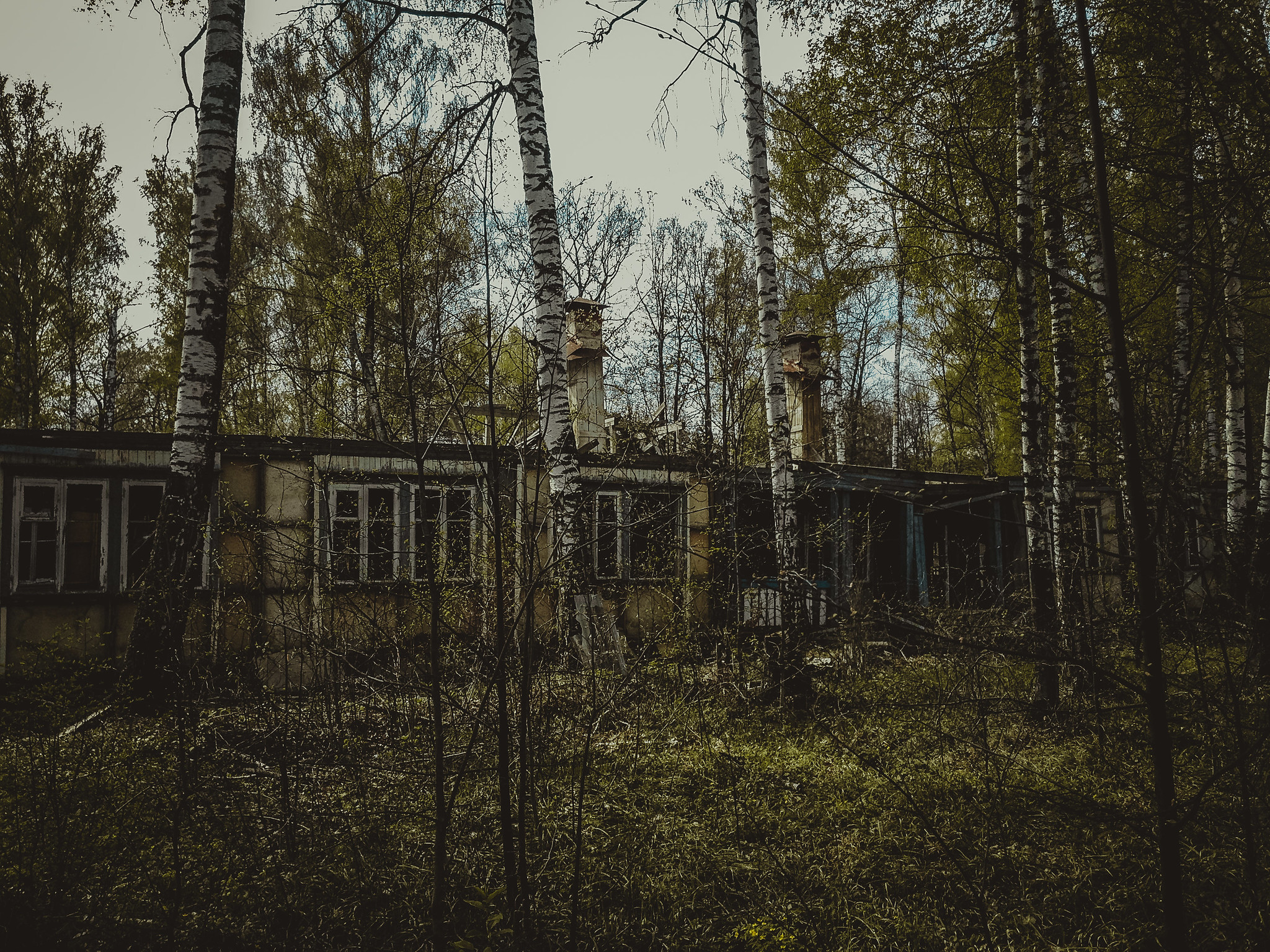 Лагерь Ласточка, Крутушка