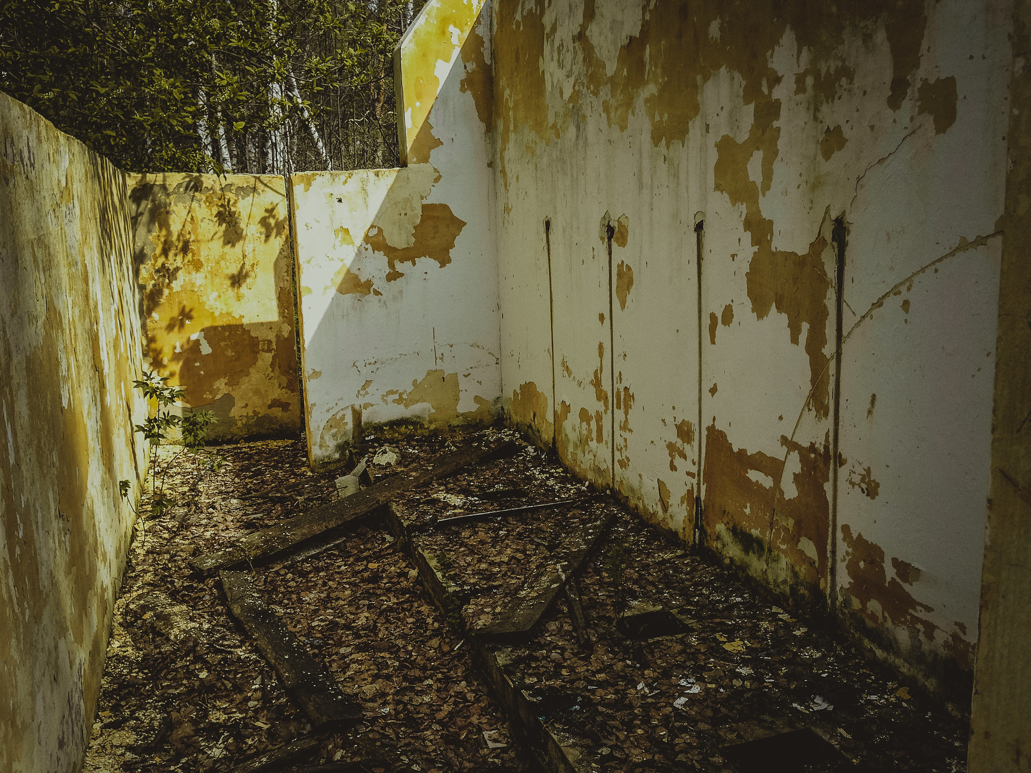 Лагерь Ласточка, Крутушка