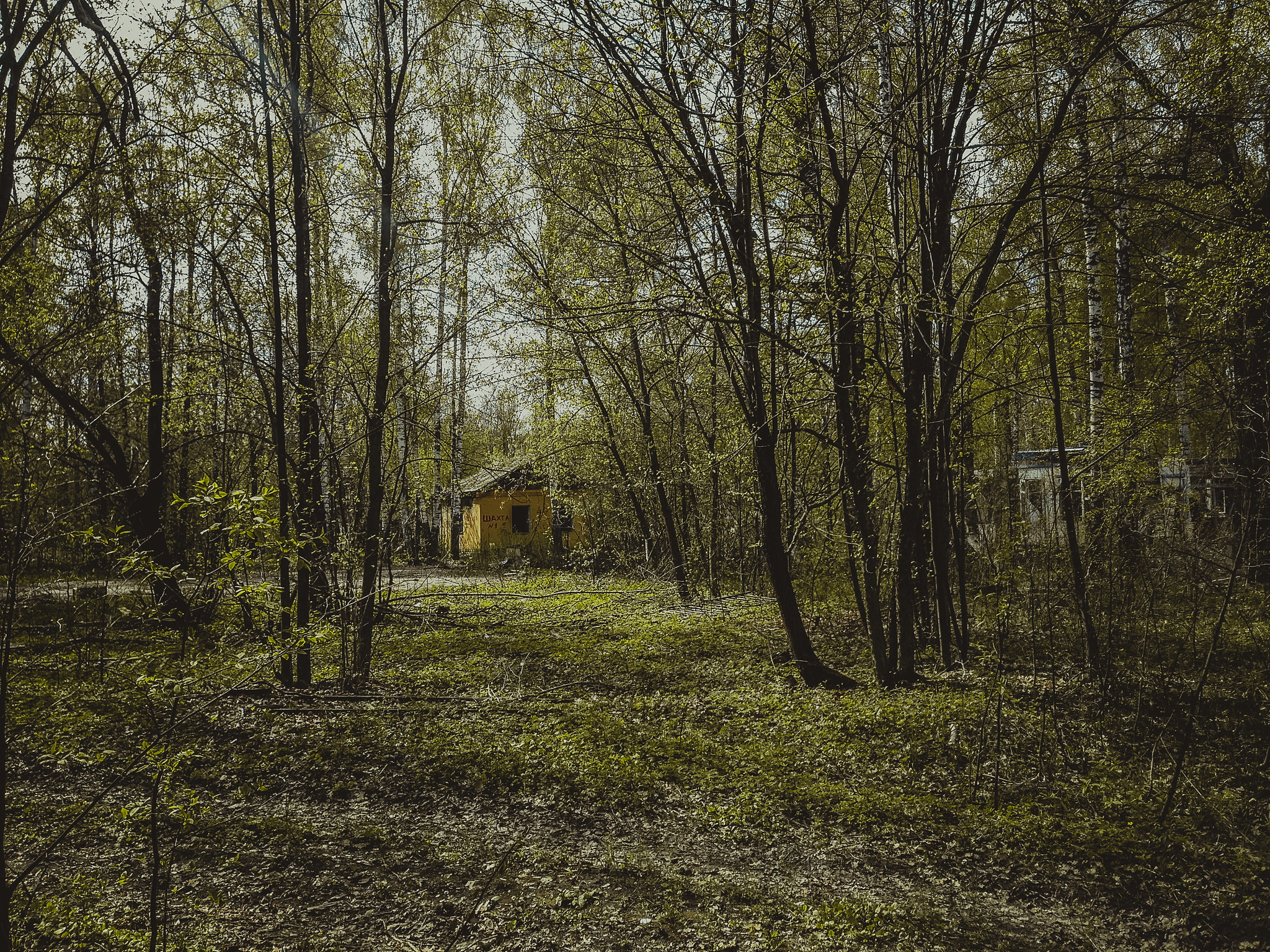 Лагерь Ласточка, Крутушка