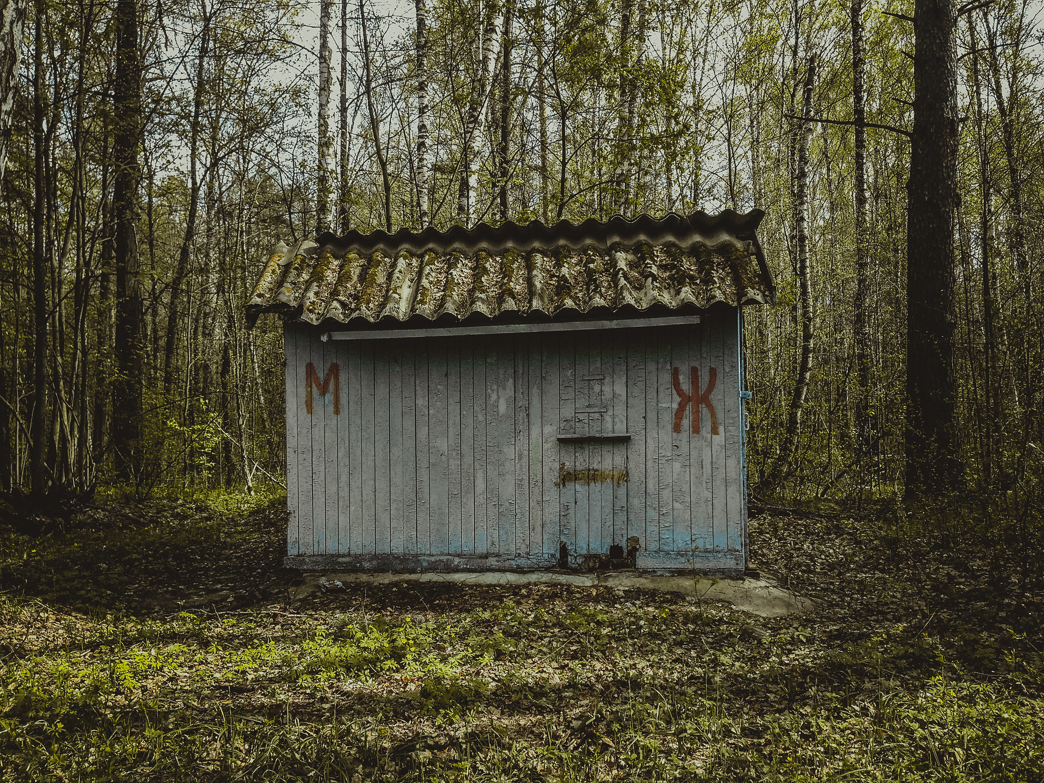 Лагерь Ласточка, Крутушка