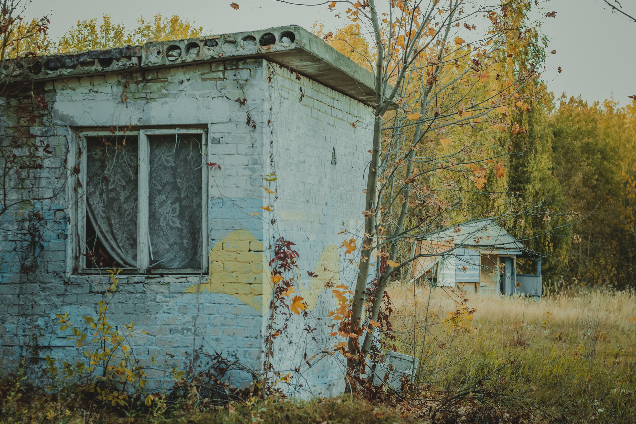 Детская дереня Фанта