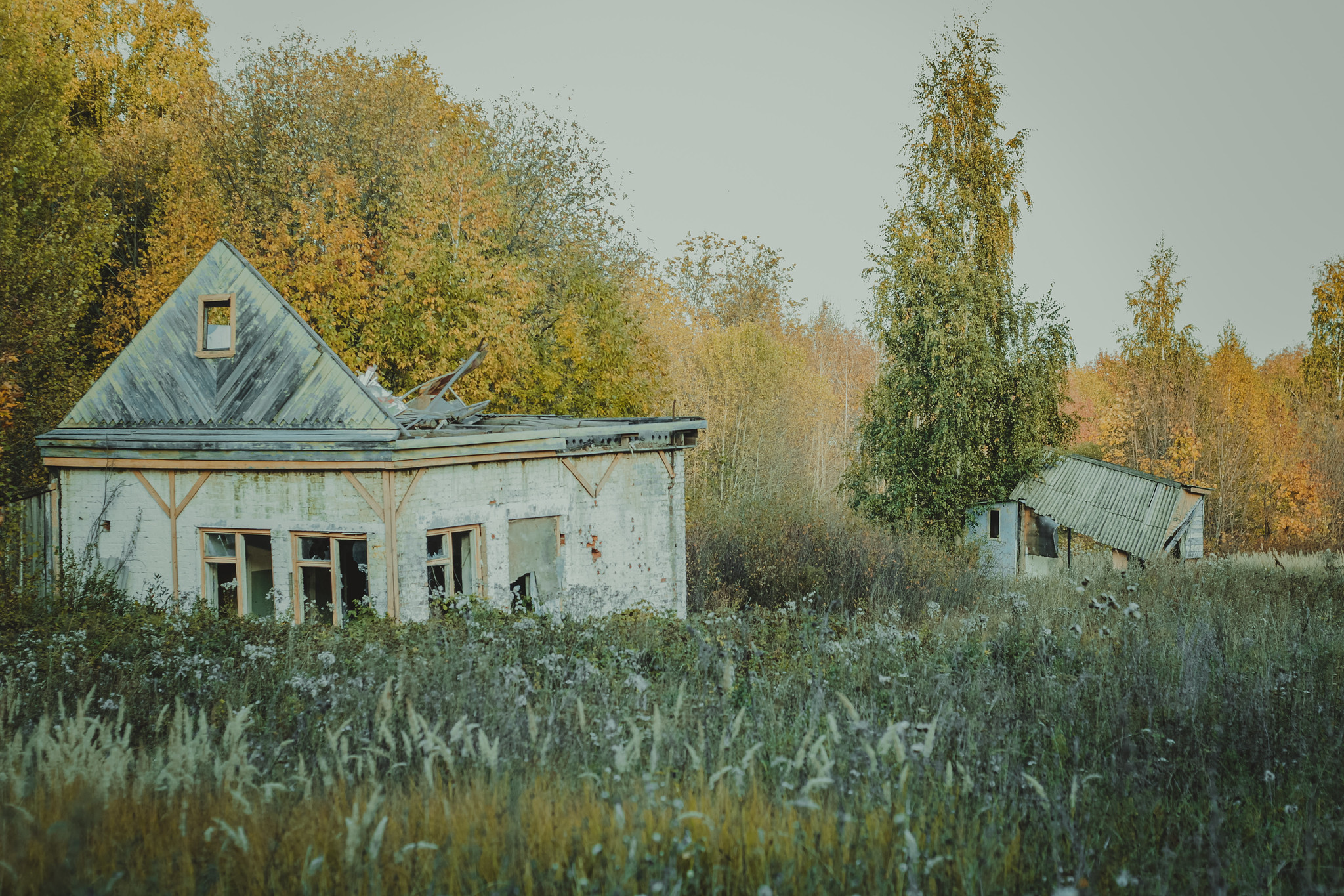 Детская дереня Фанта