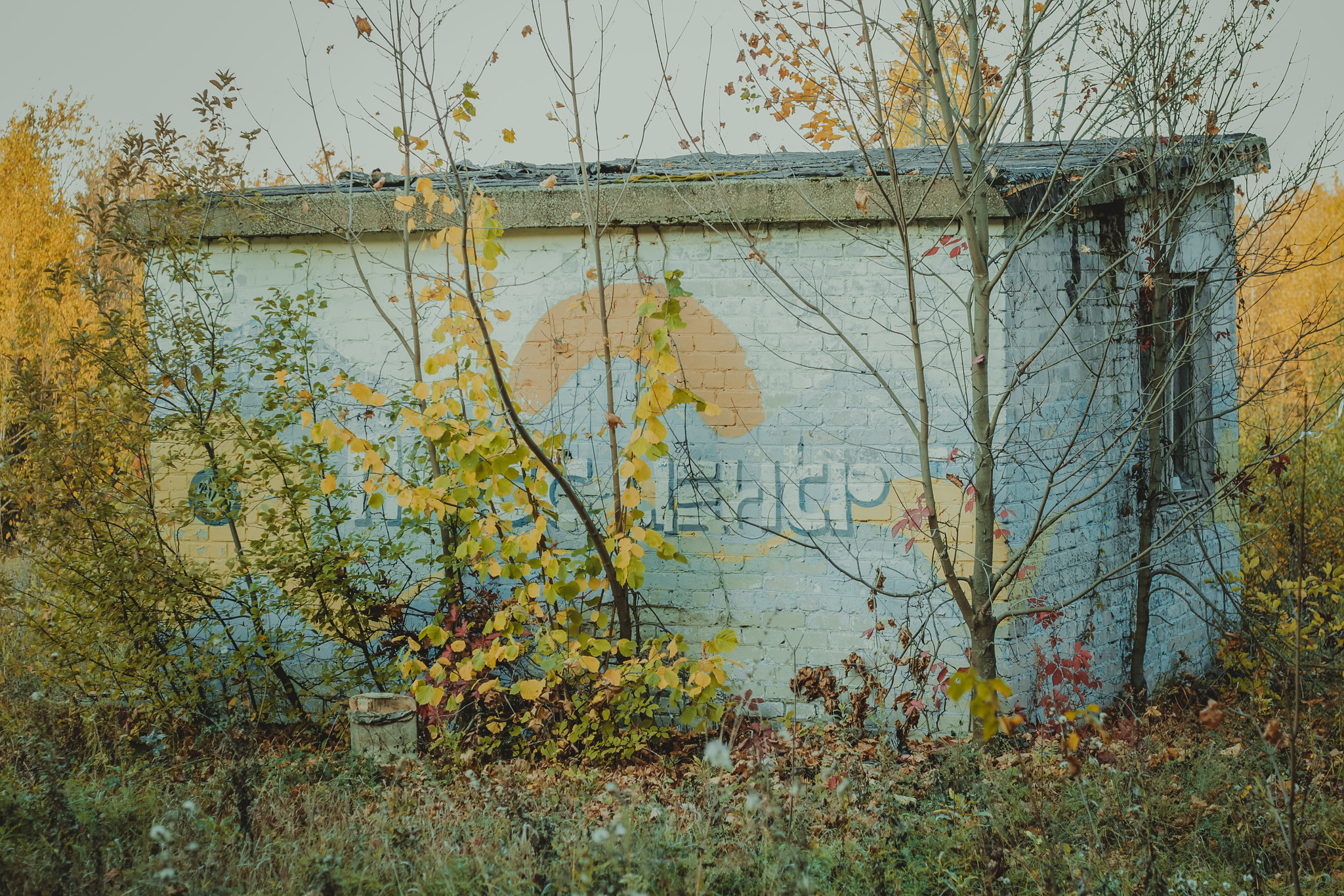 Детская дереня Фанта