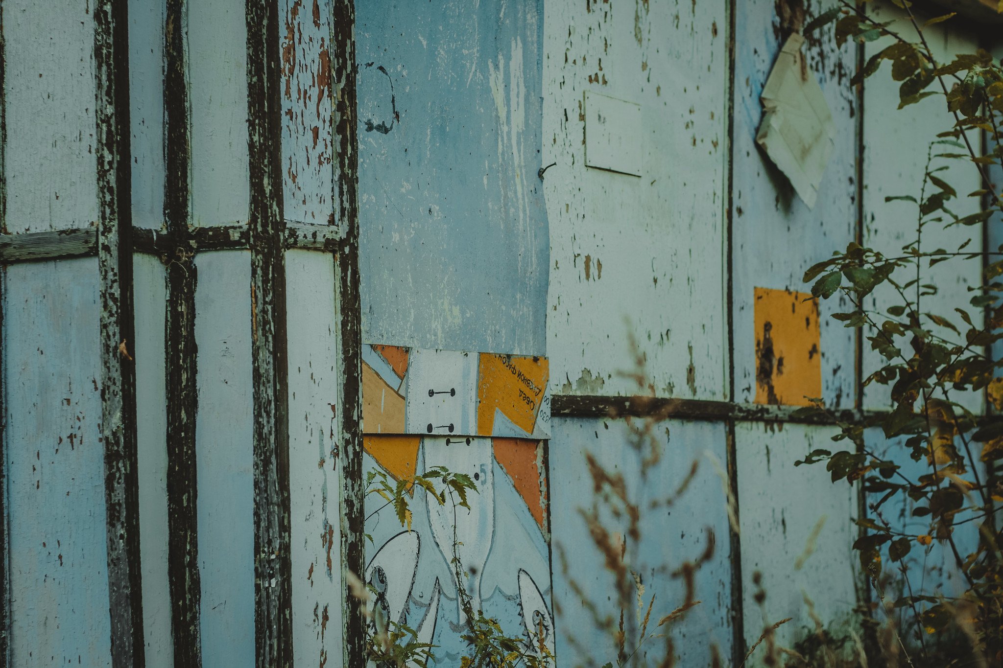 Детская дереня Фанта