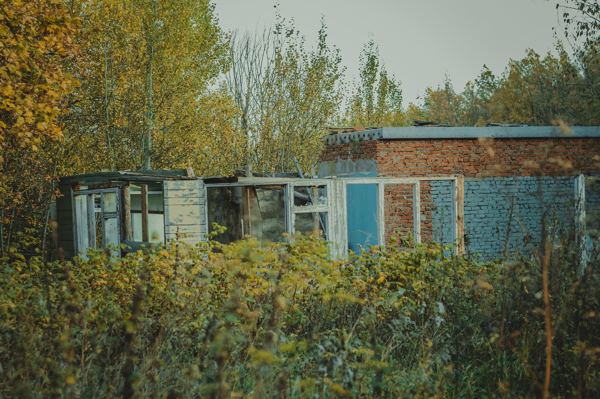 Детская дереня Фанта