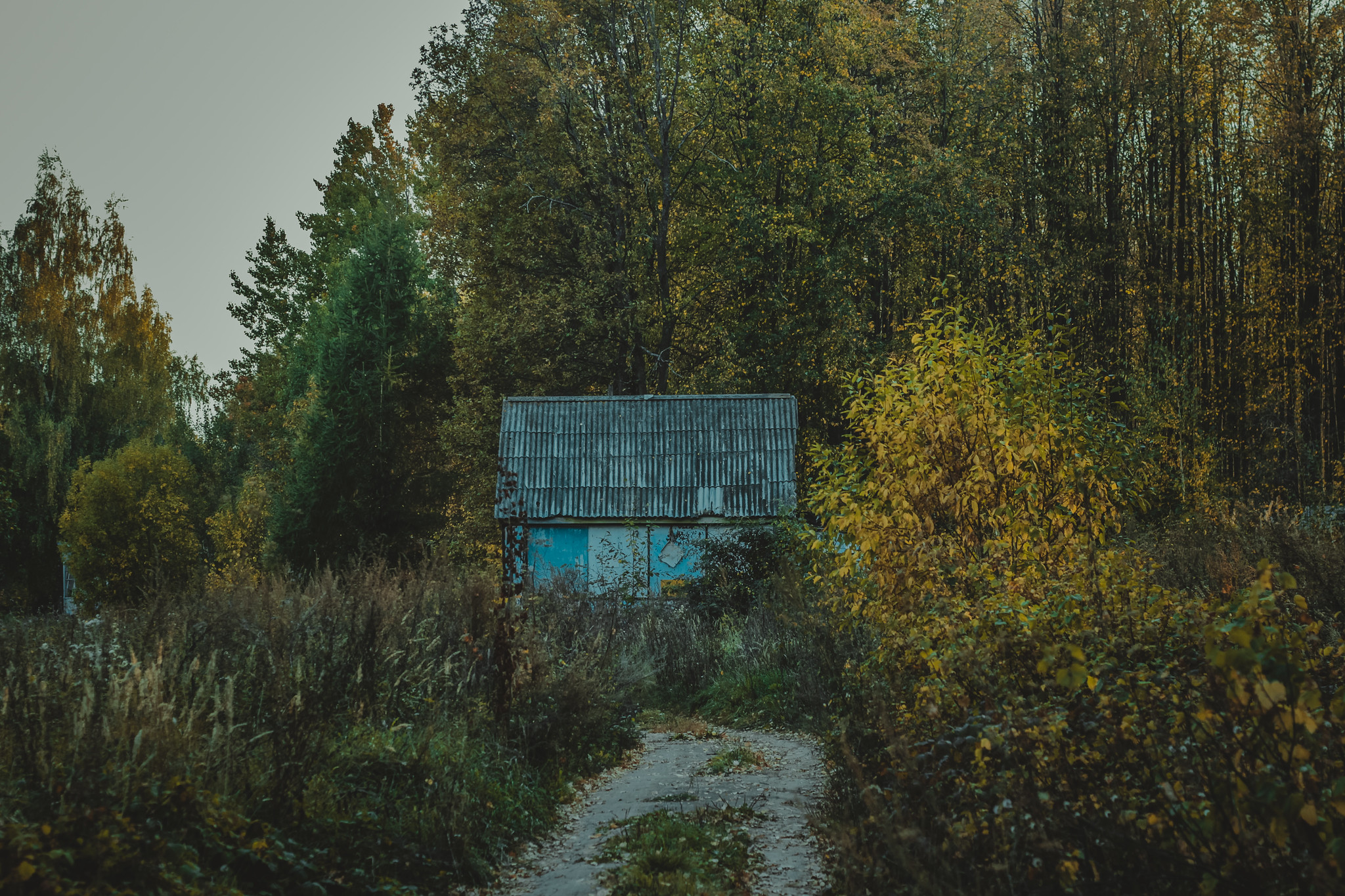 Детская дереня Фанта