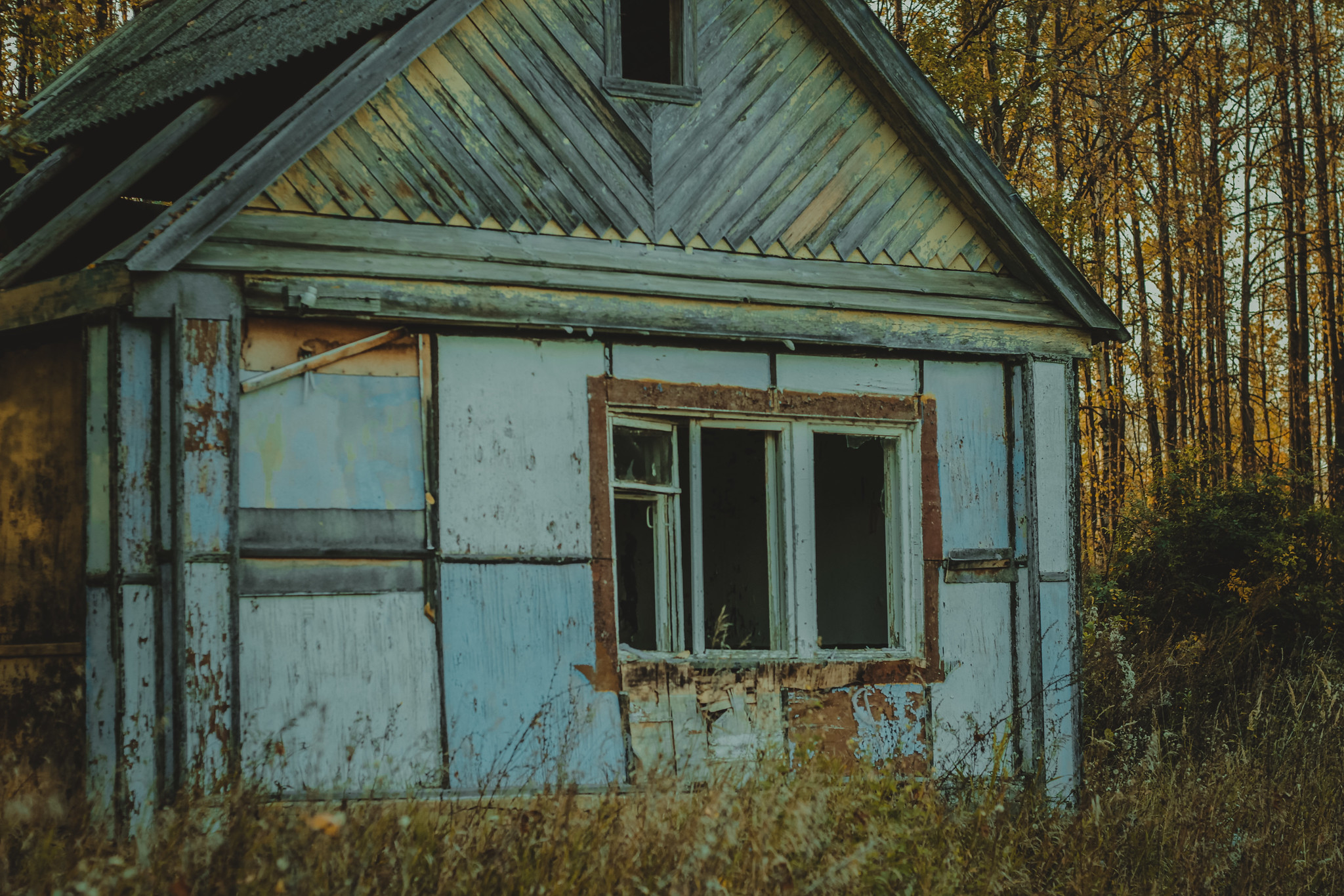 Детская дереня Фанта