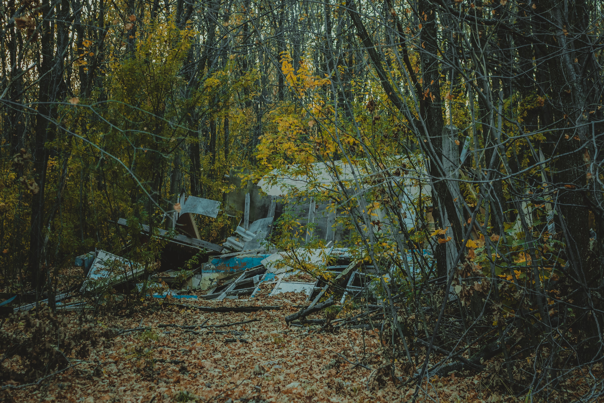 Детская дереня Фанта