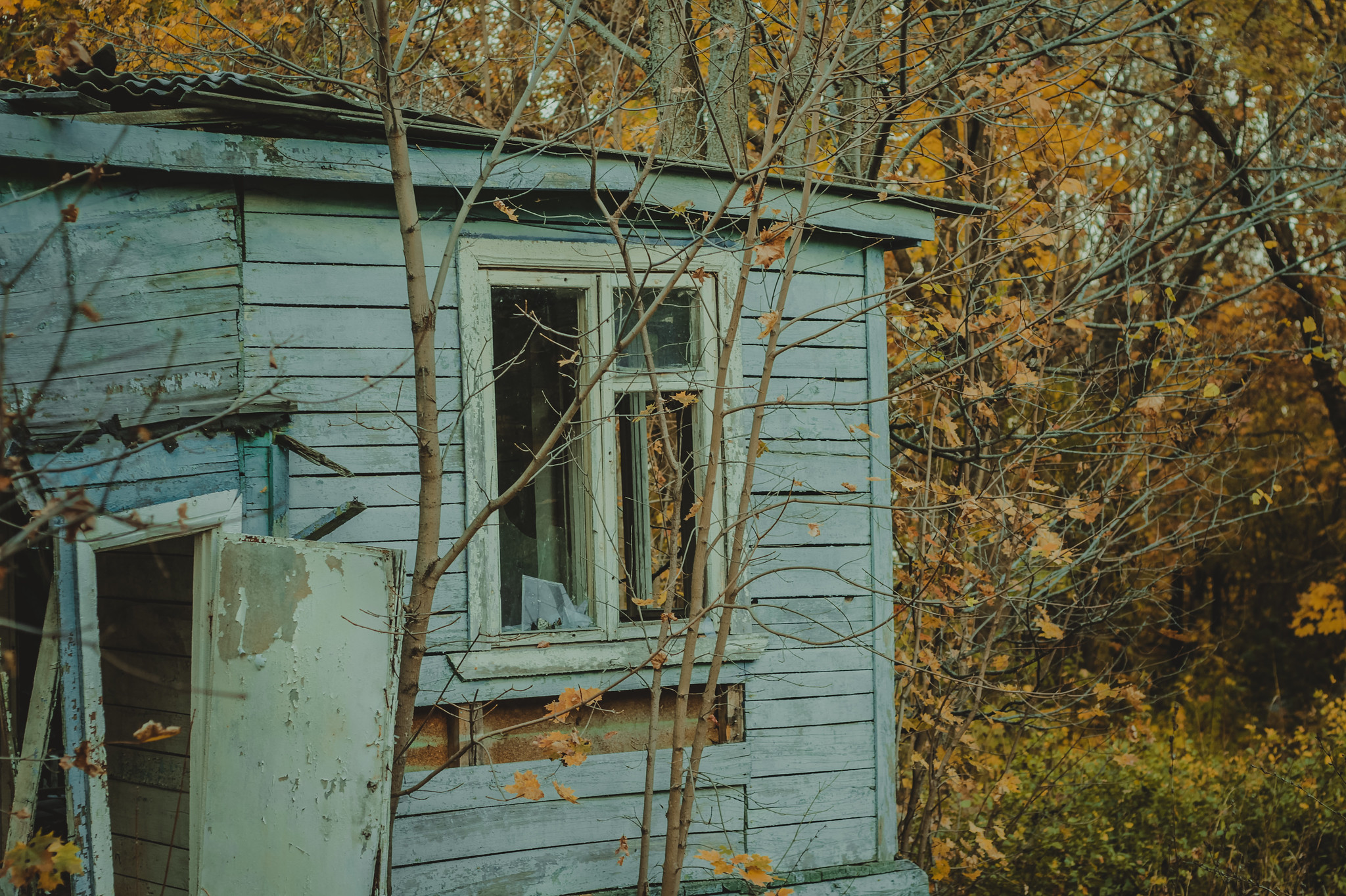 Детская дереня Фанта