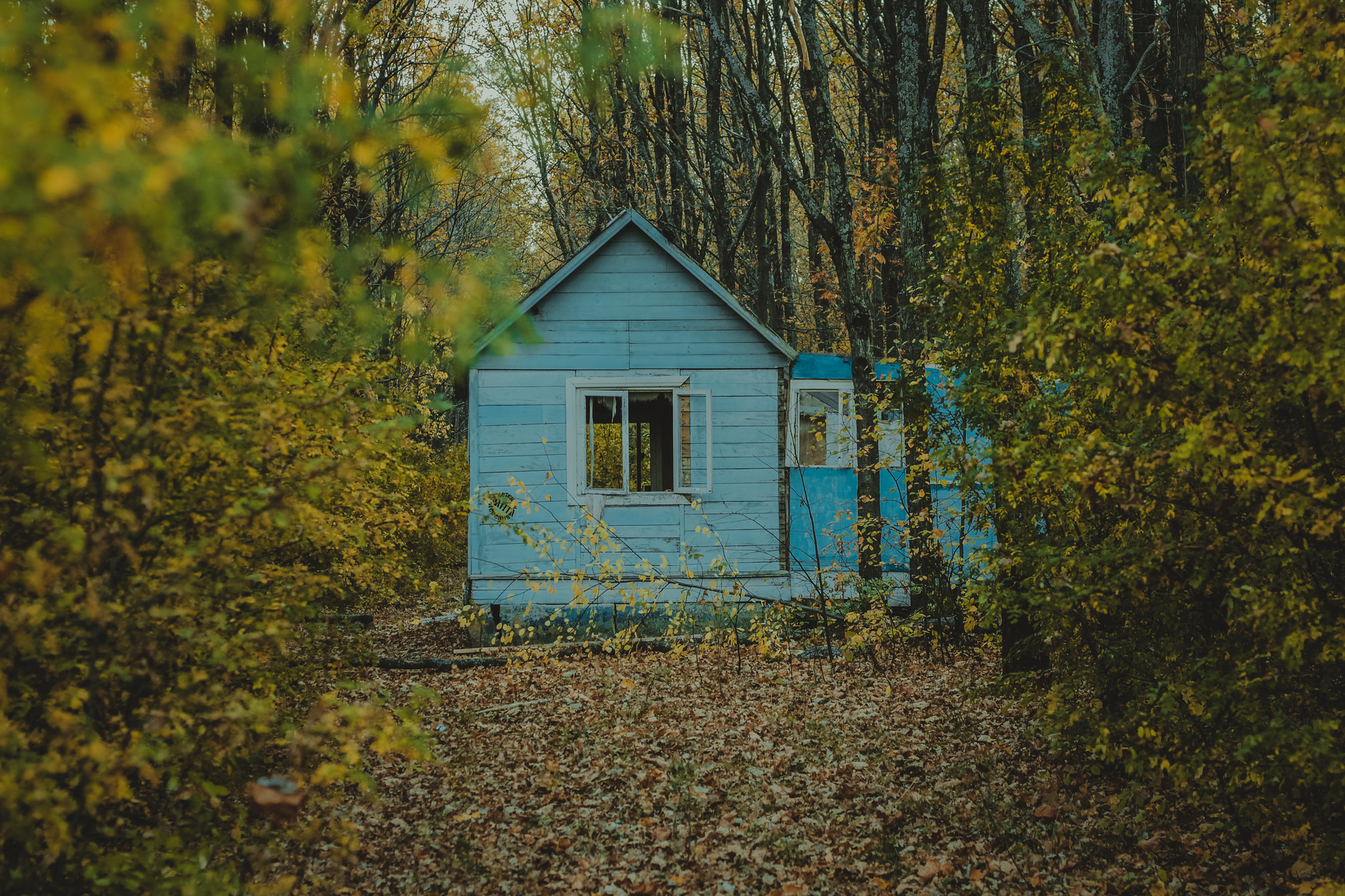 Детская дереня Фанта