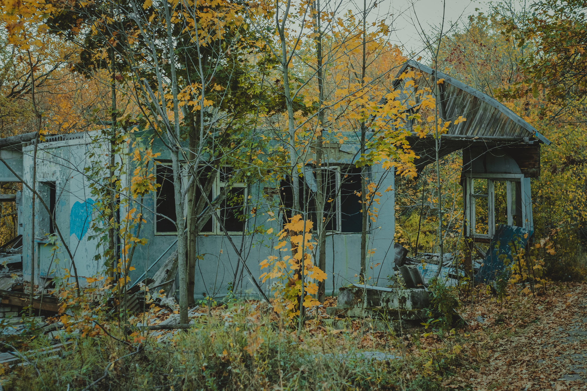 Детская дереня Фанта