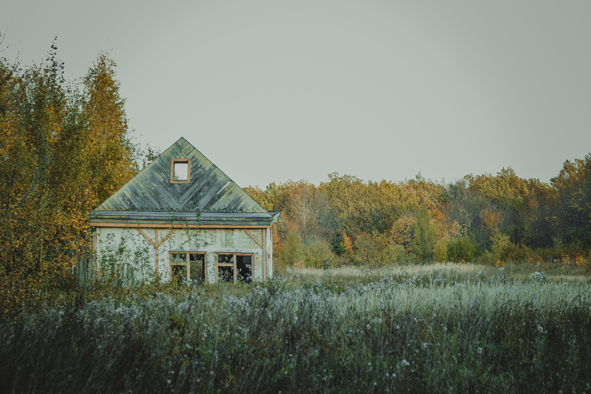 Детская дереня Фанта