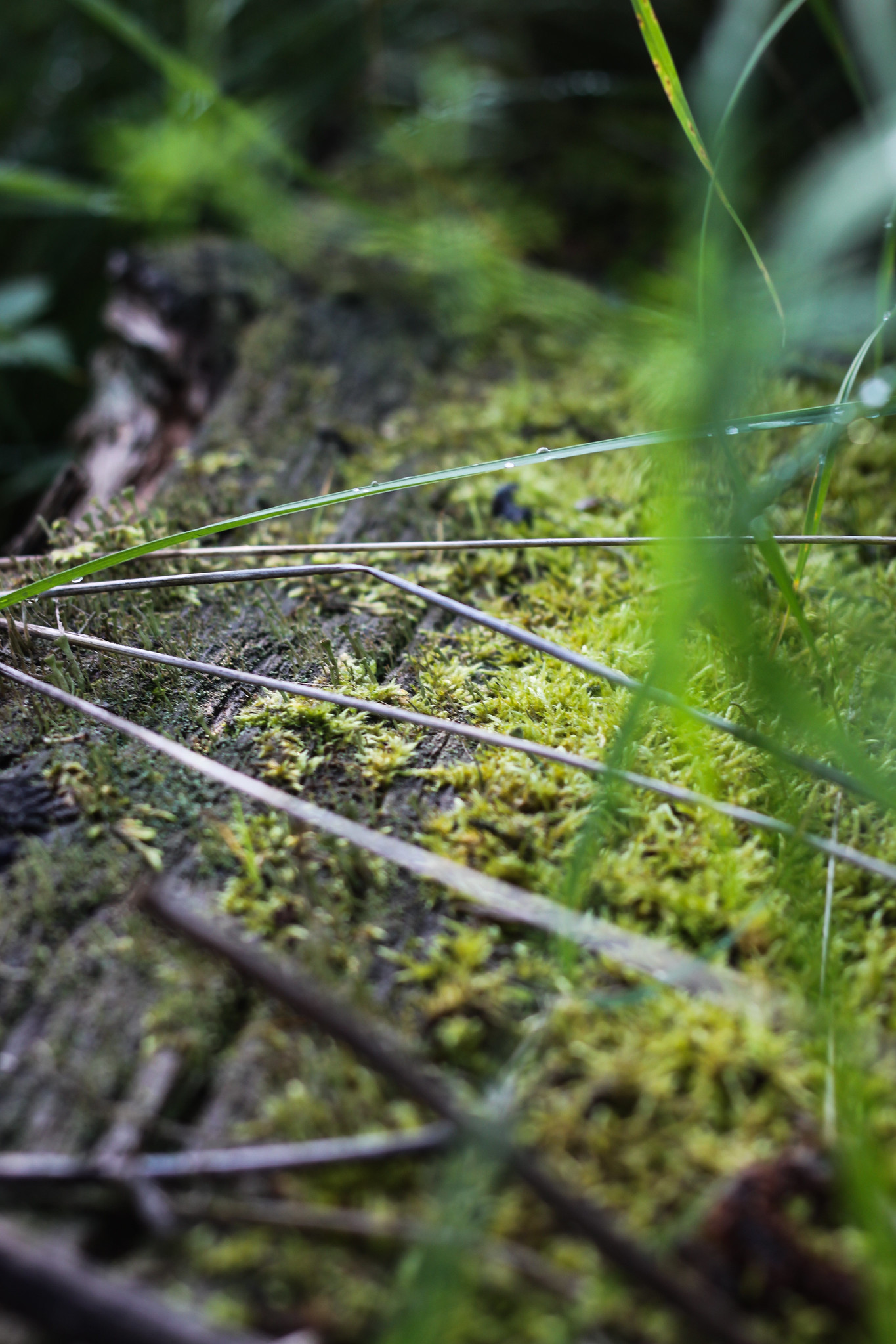 Малый Карамас