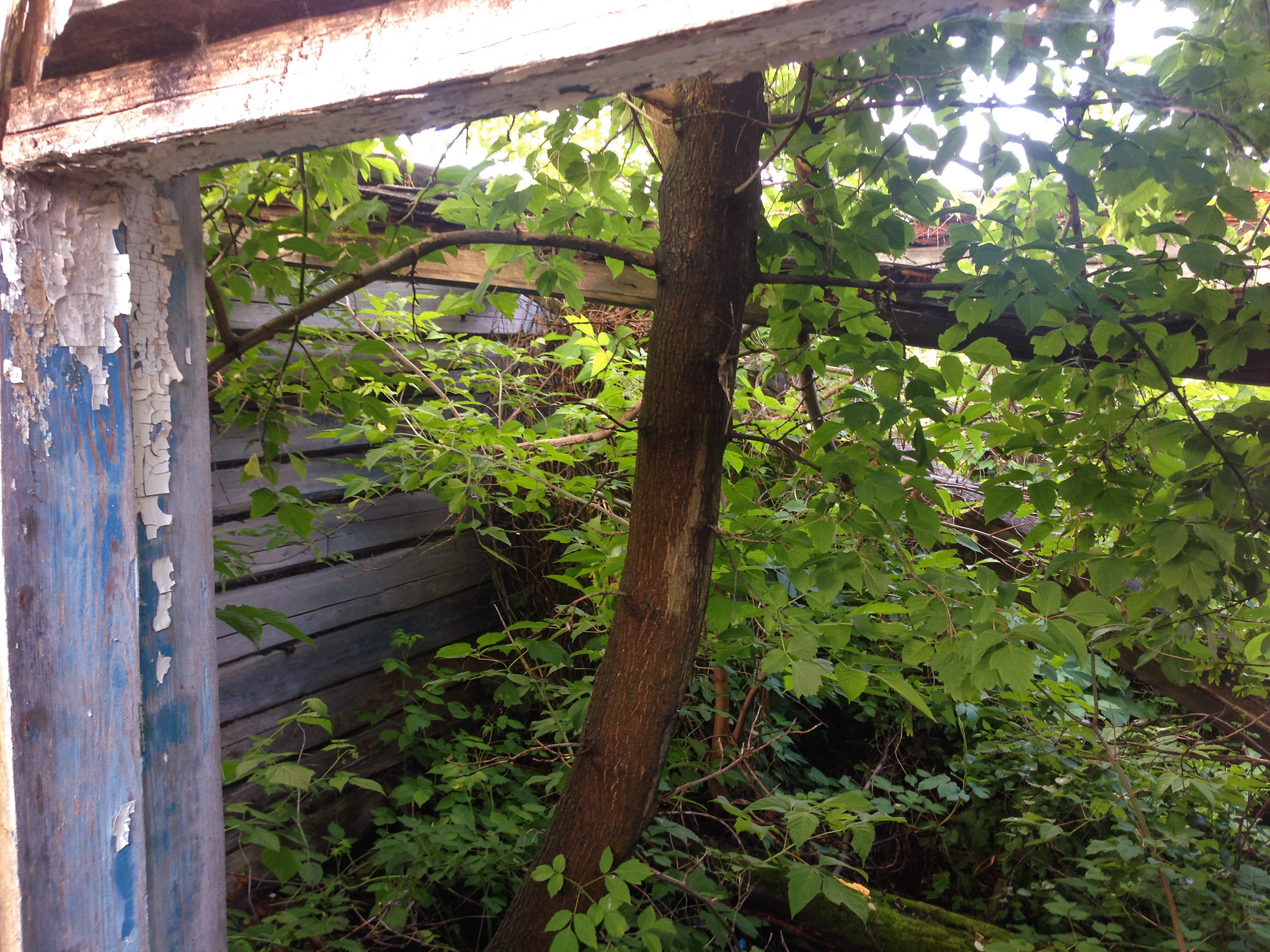 Малый Карамас