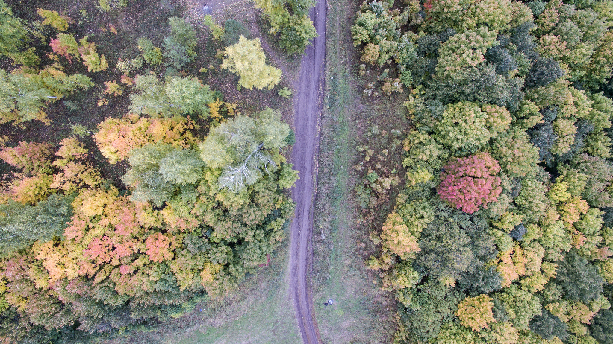 Камское устье