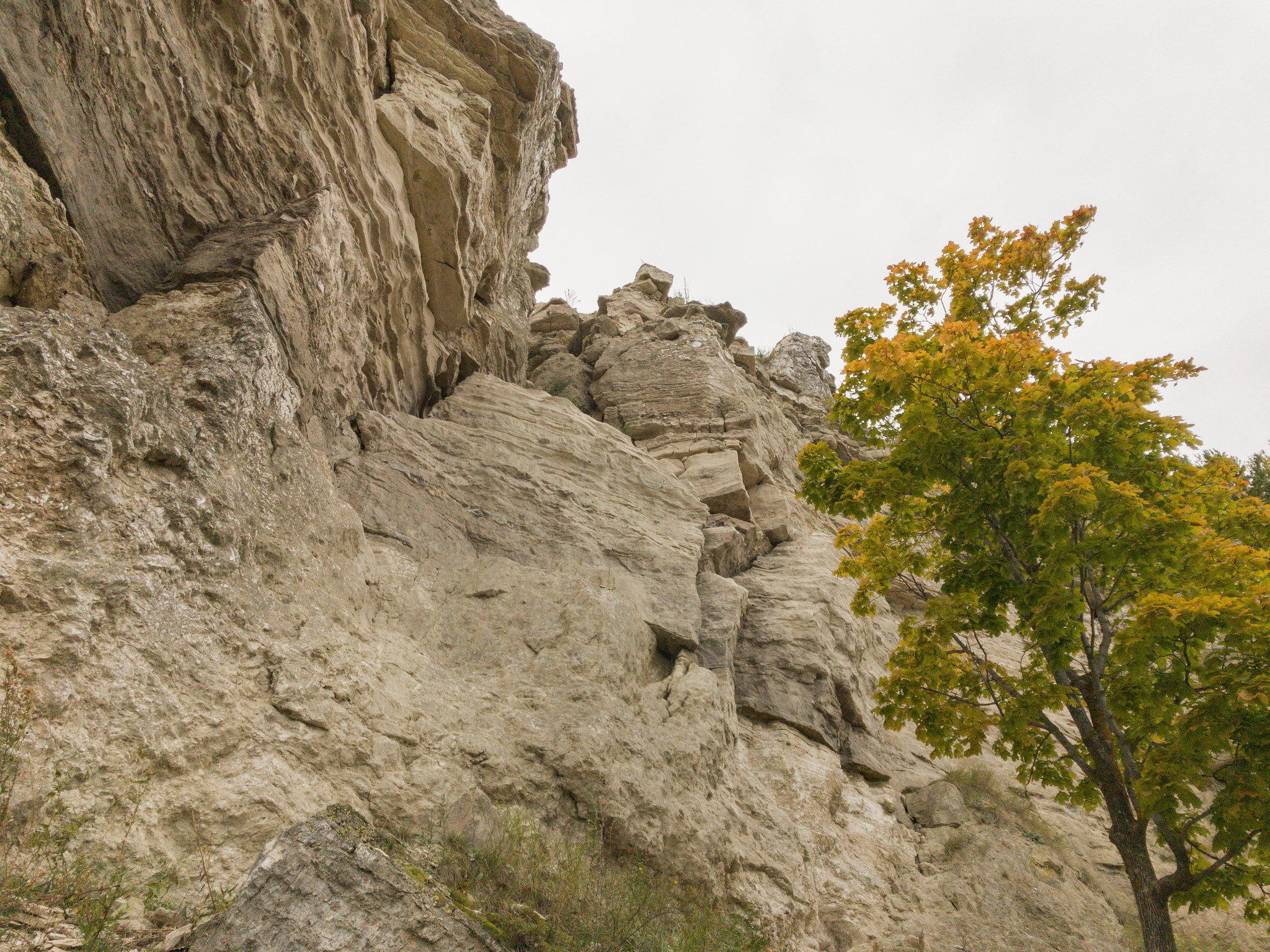 Камское устье