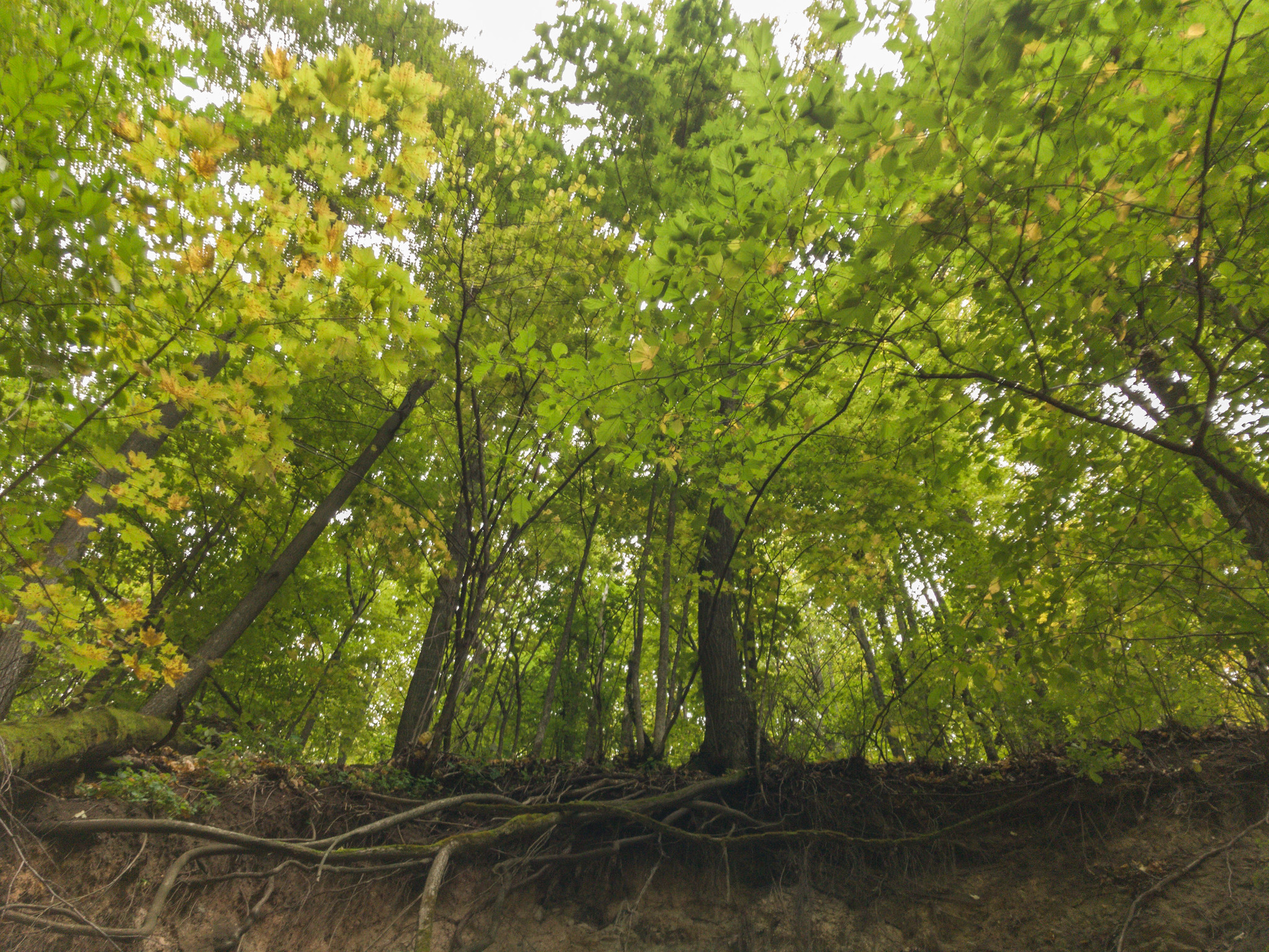 Камское устье