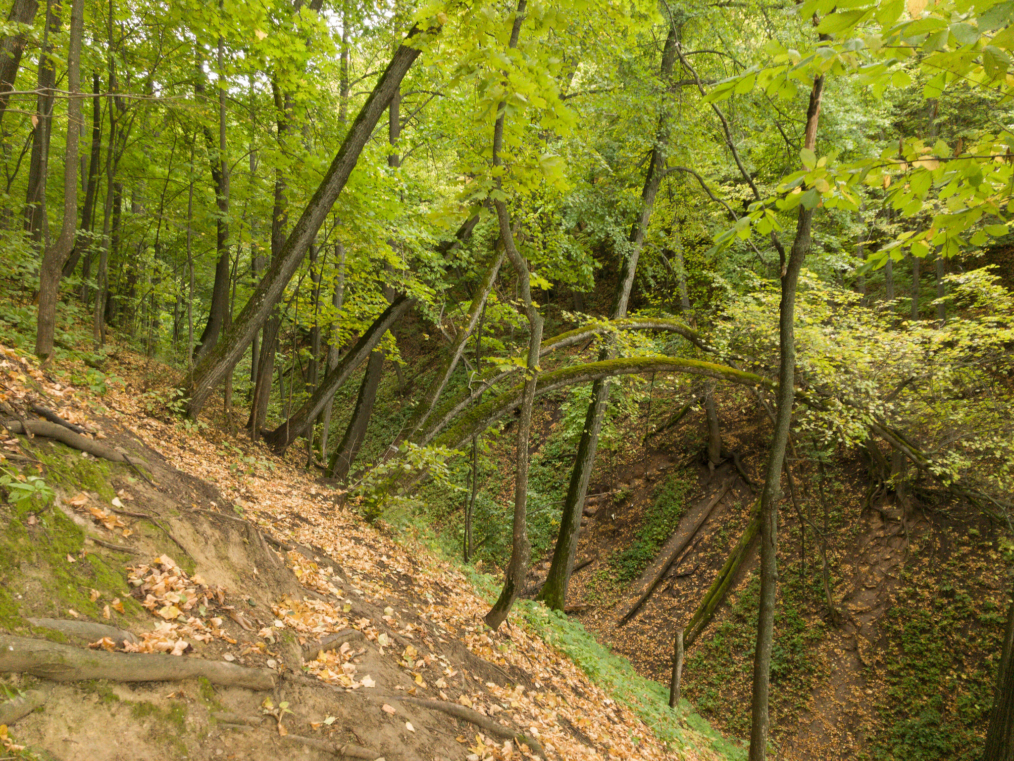 Камское устье