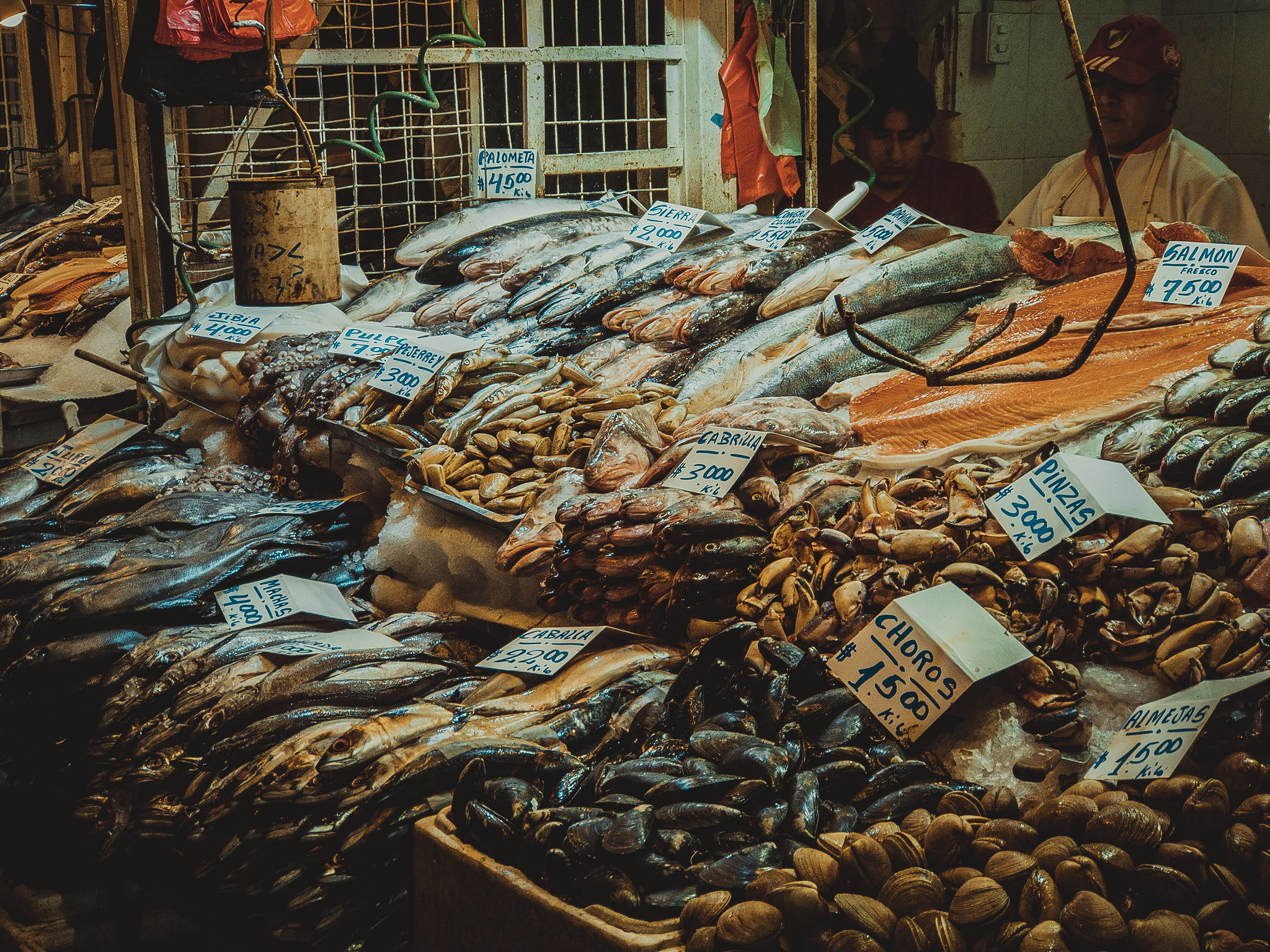 Сантьяго, Чили