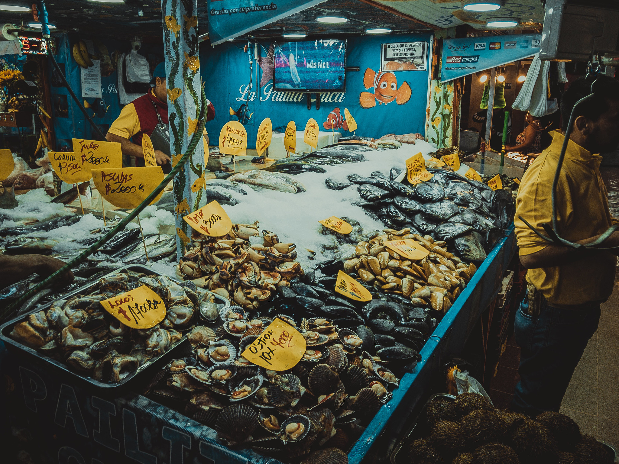 Сантьяго, Чили