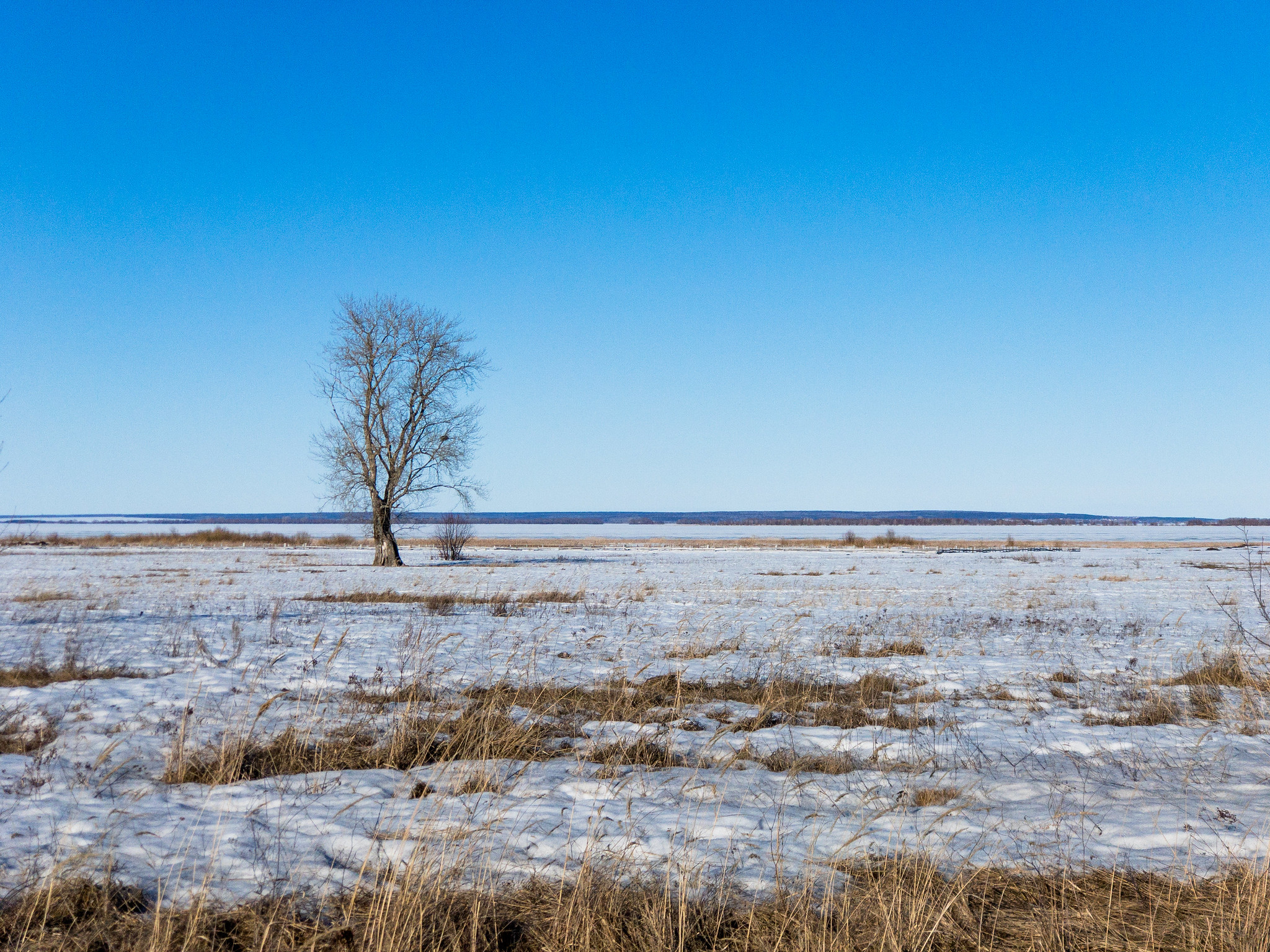 Астраханка