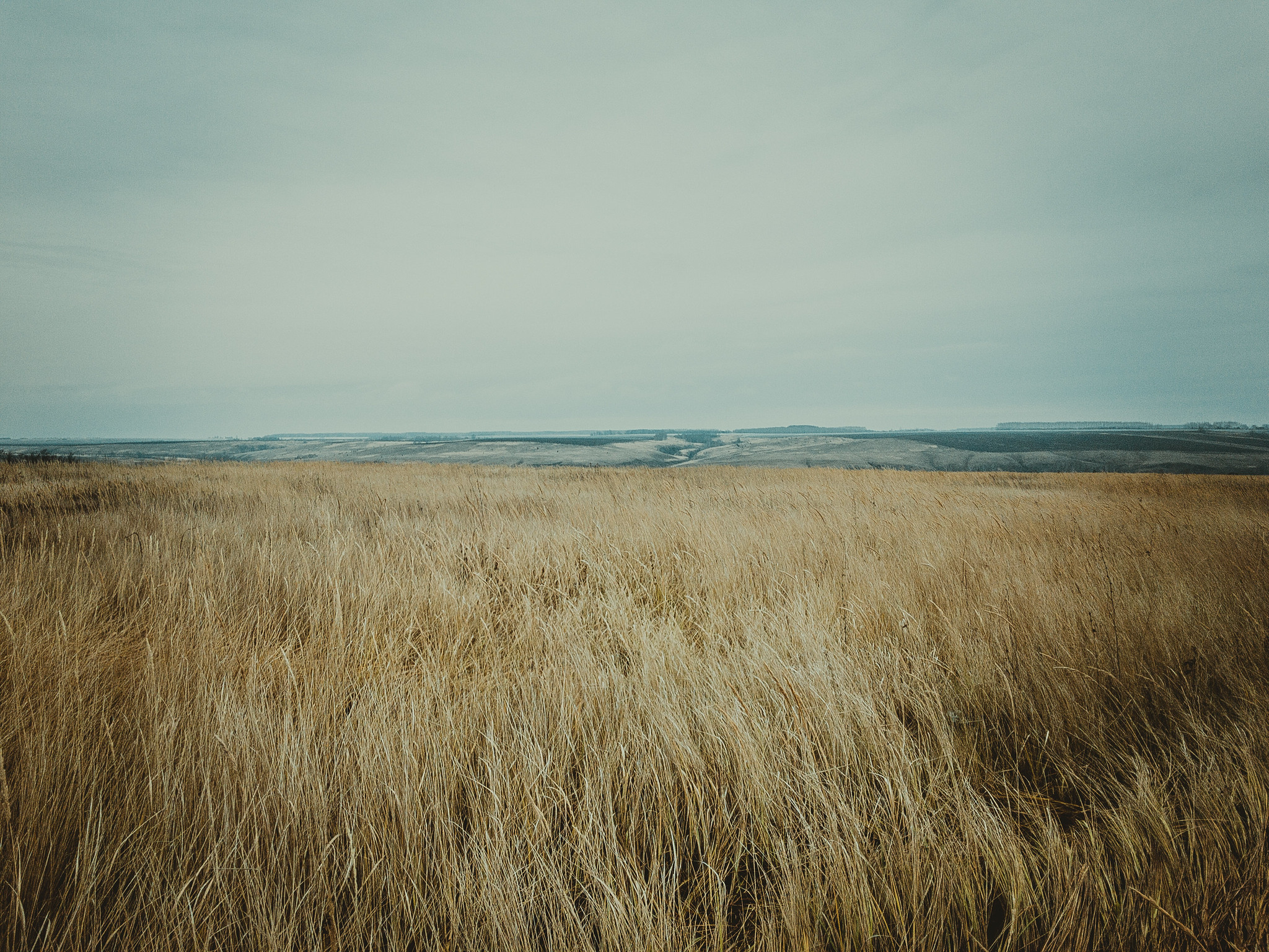 Большие меми