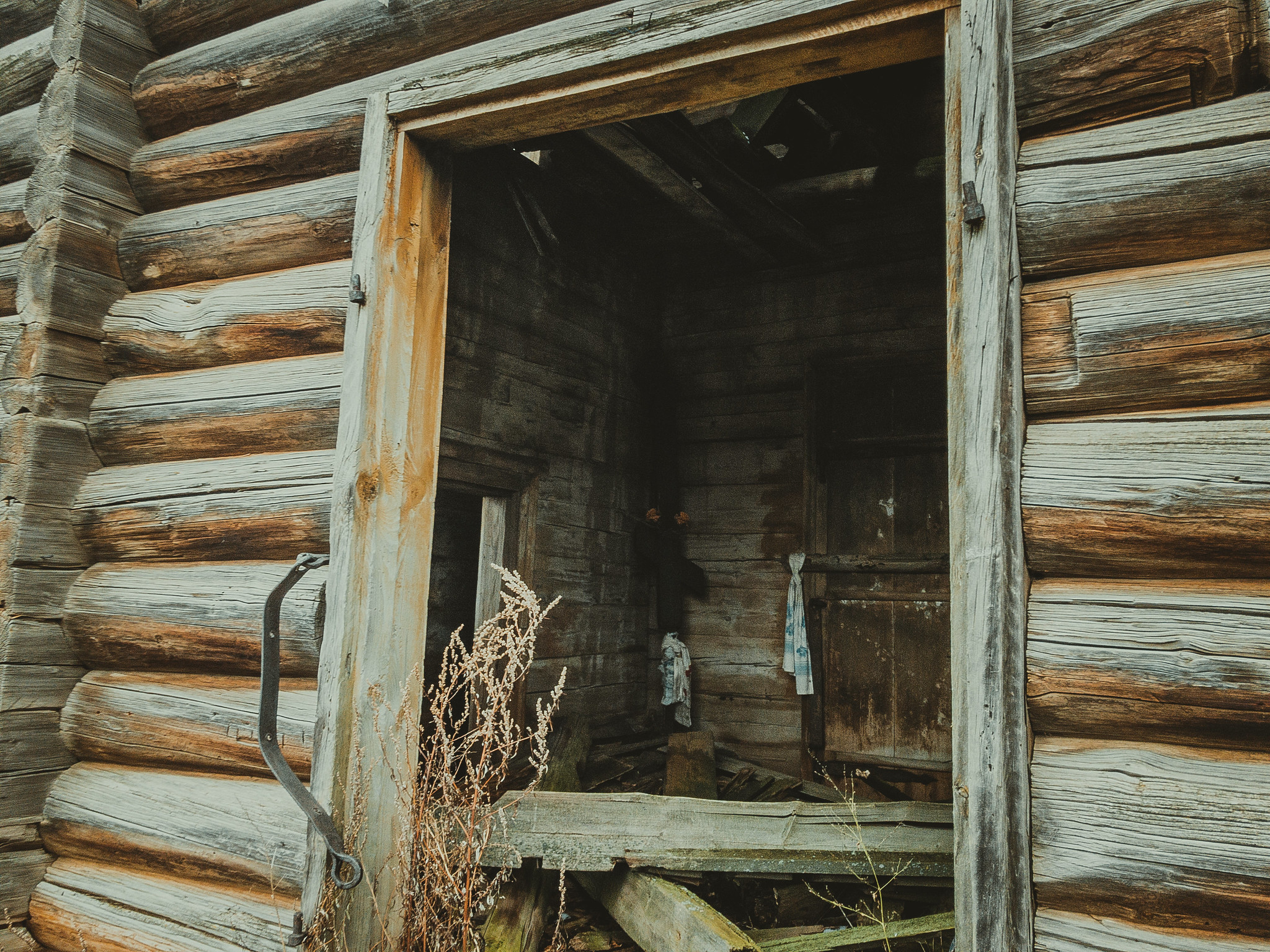 Большие меми