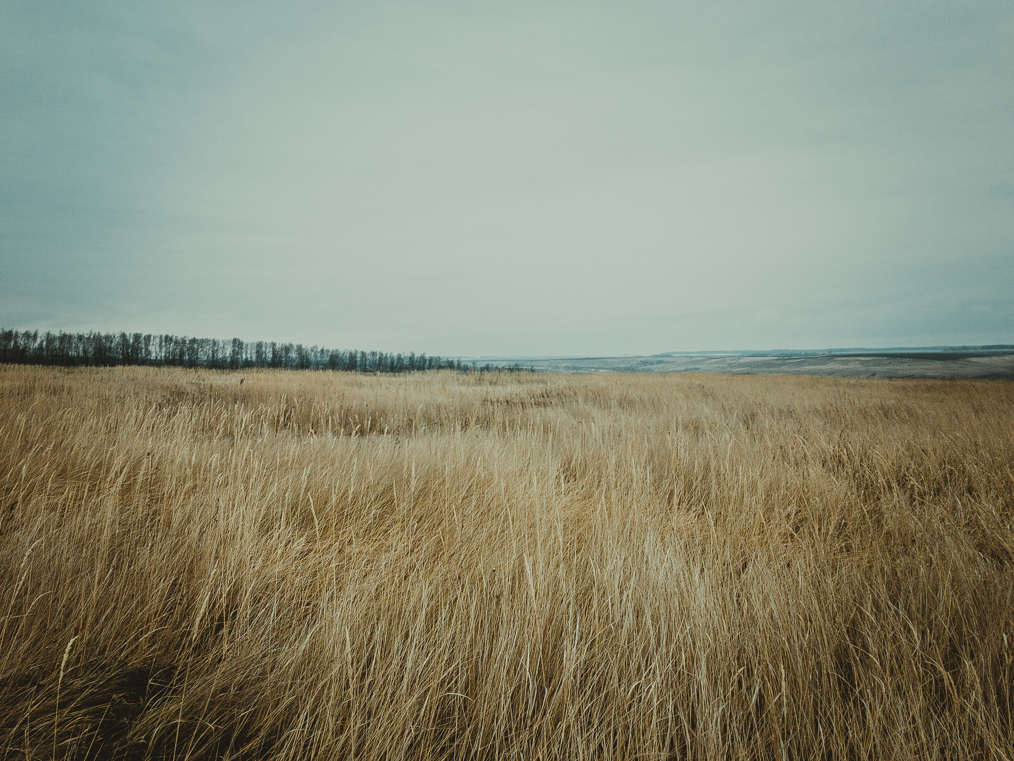 Большие меми