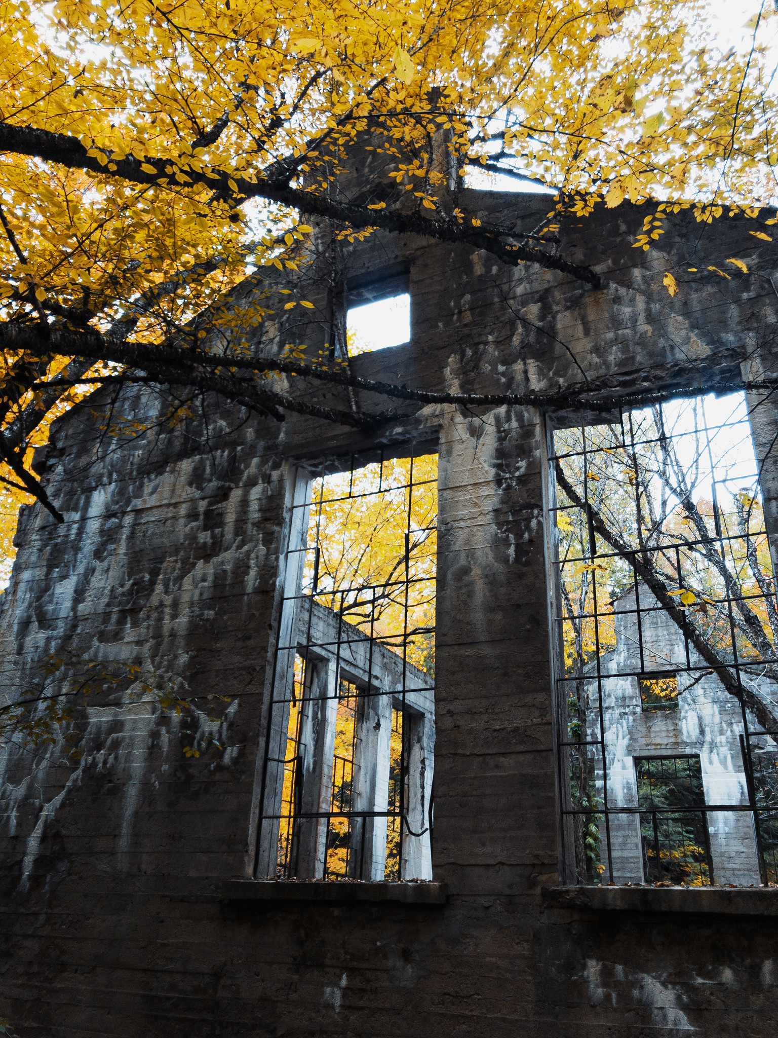 Carbide Willson Ruins