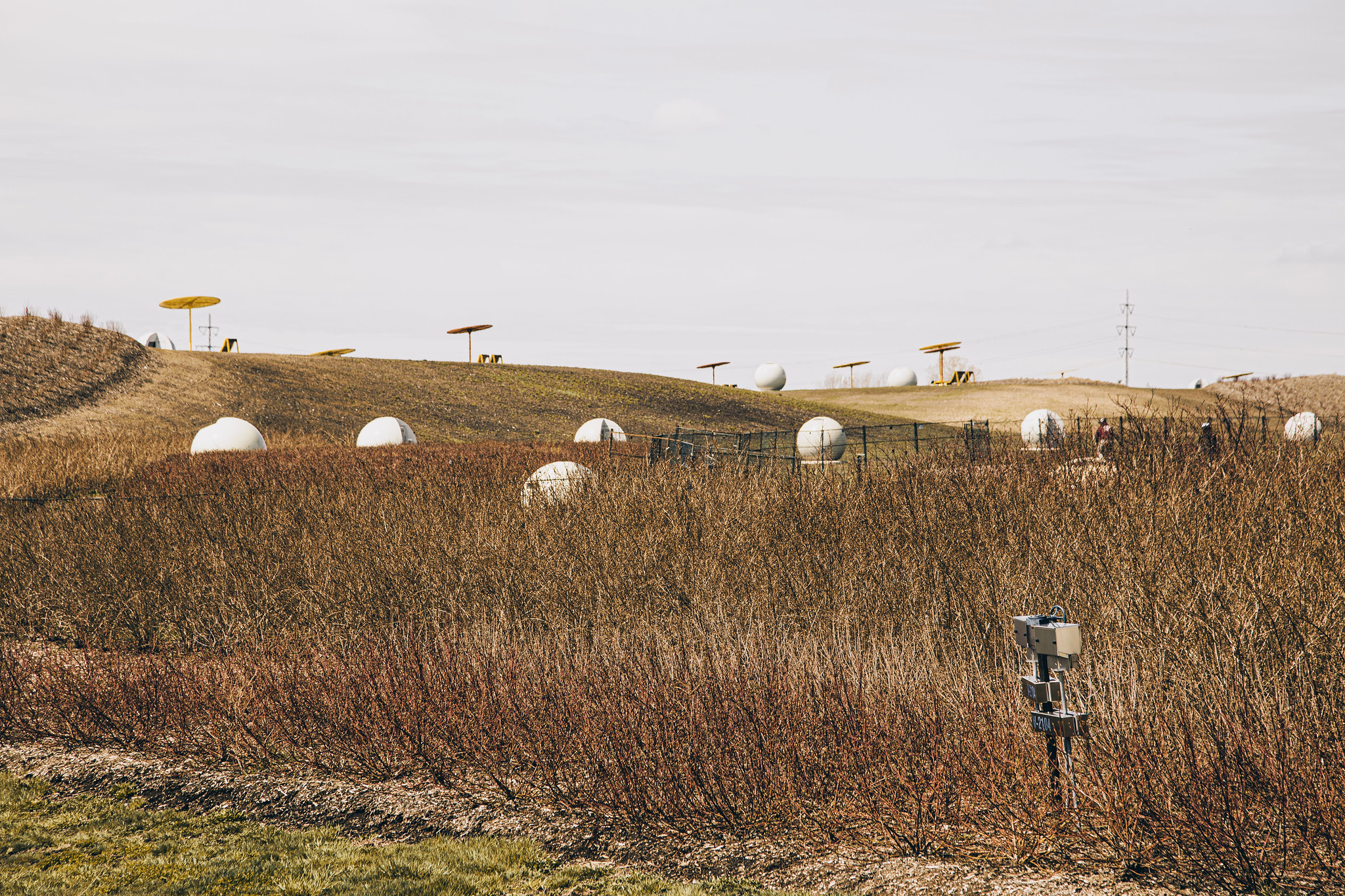 Frédéric-Back Park