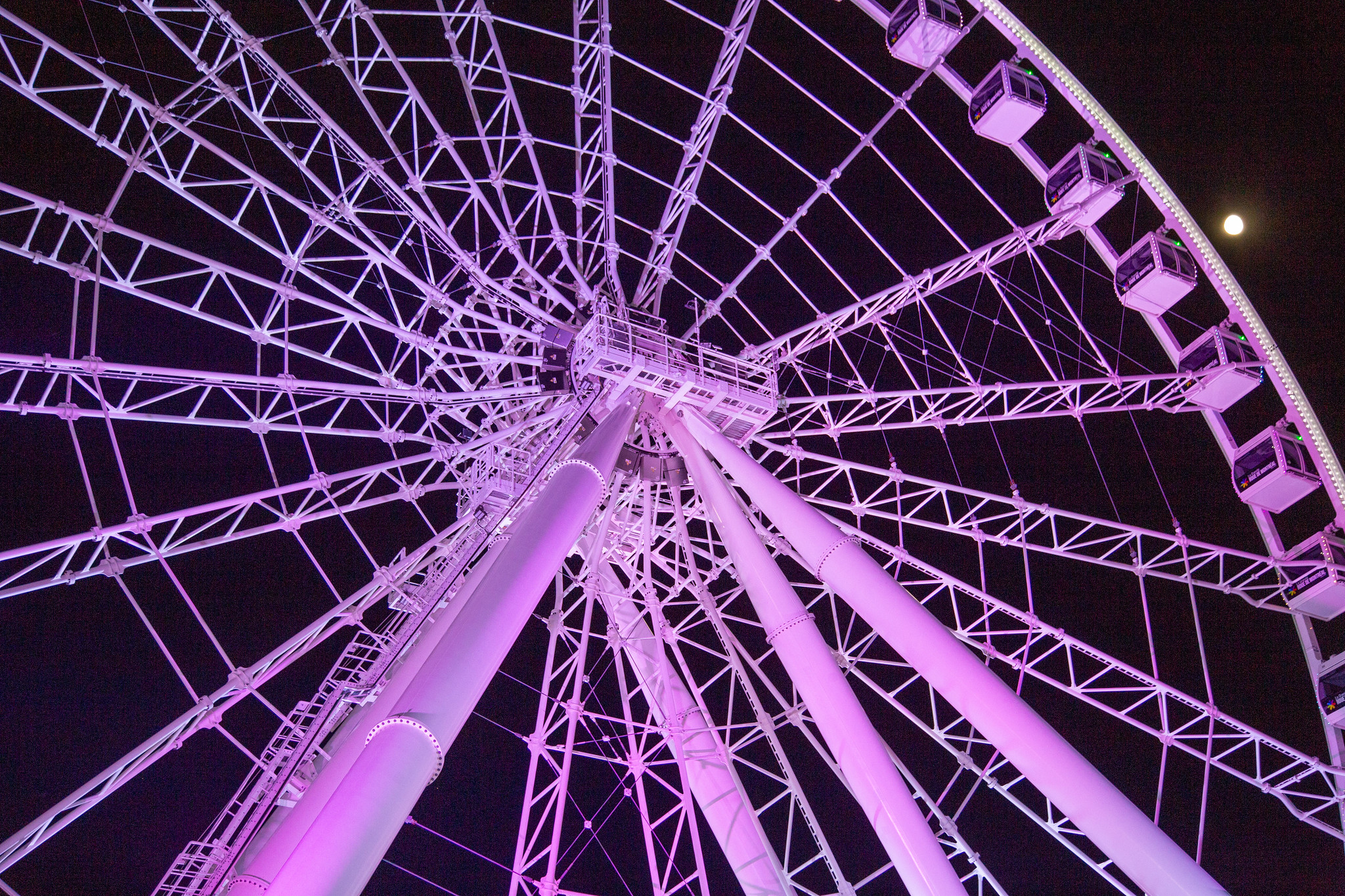 Montreal ferris wheel at night