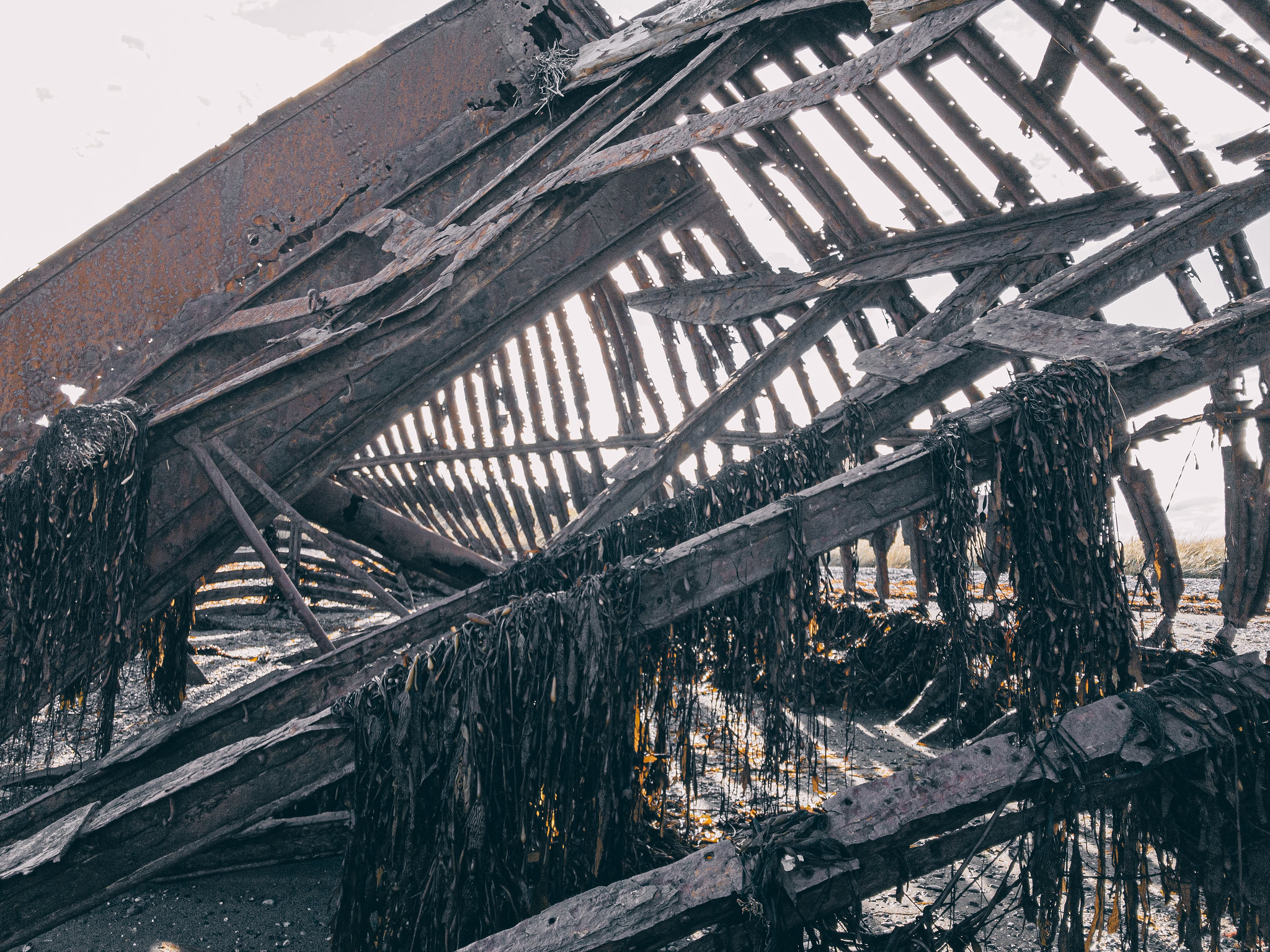 Ambassador shipwreck, Chile