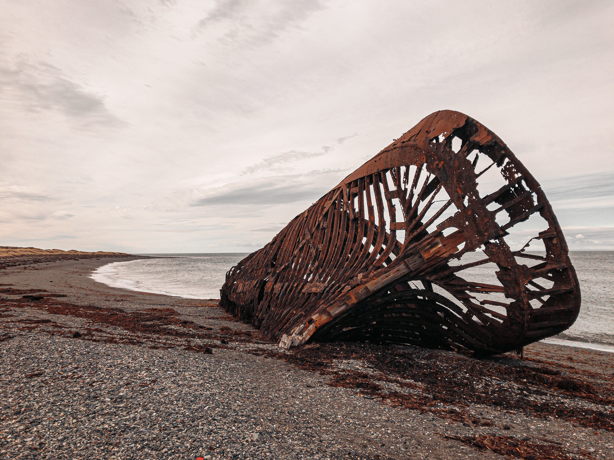 Ambassador shipwreck, Chile