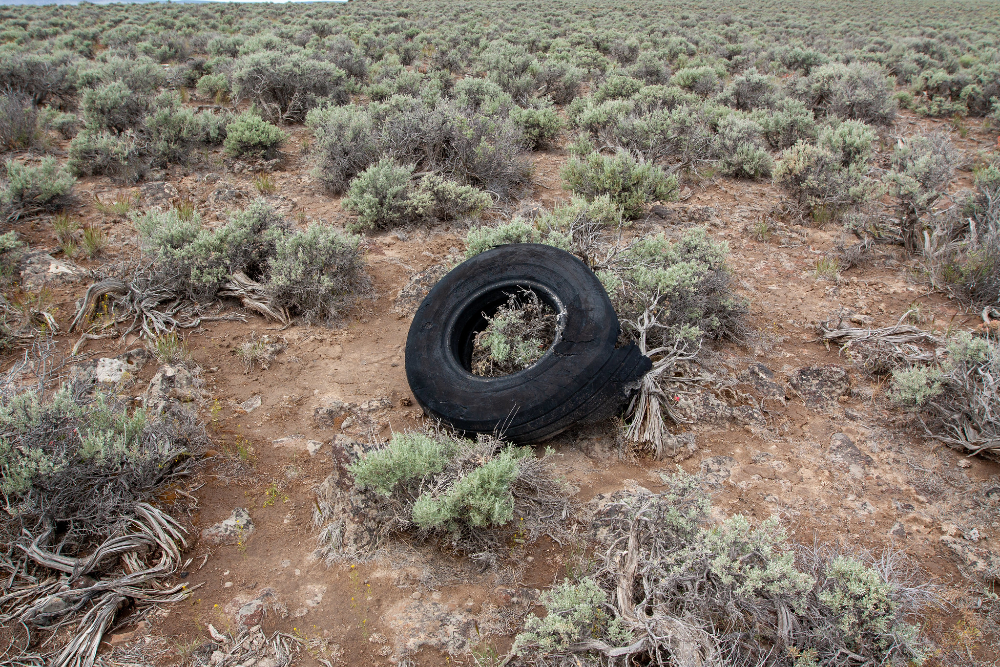 Grumman A-6A Intruder Crash Site, Christmas Valley, Oregon