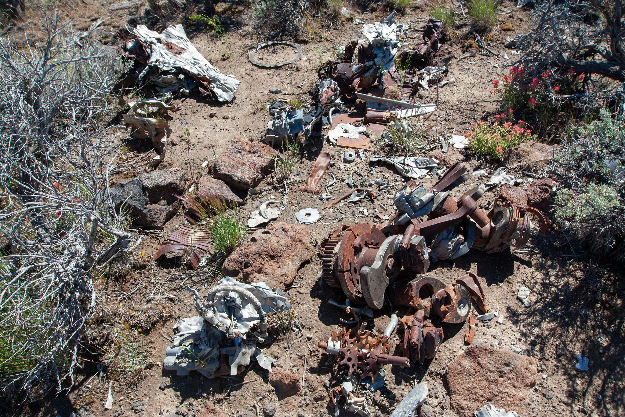 P38 Lightning Crash Site (Oregon)