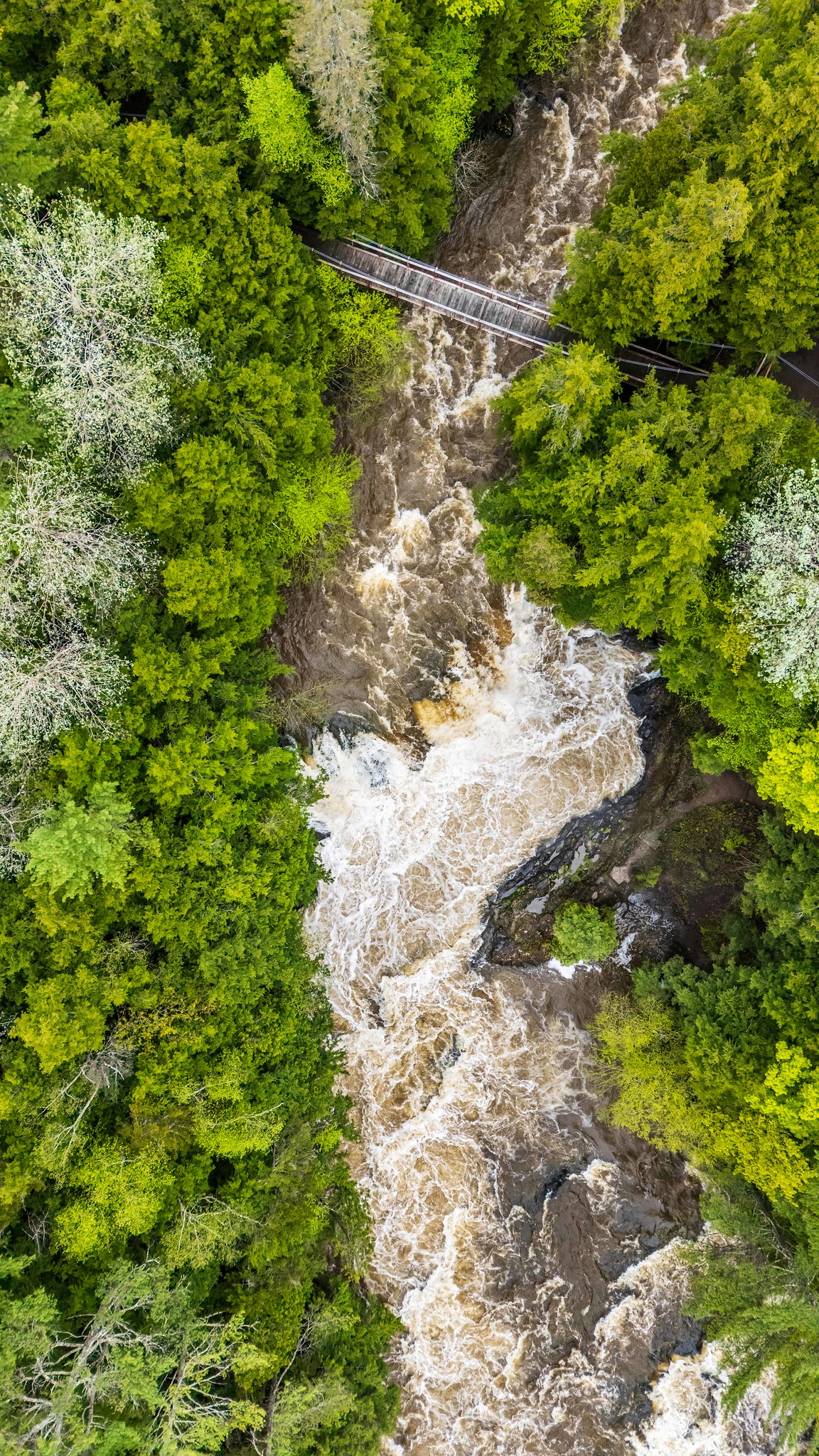Chutes de Sainte Ursule