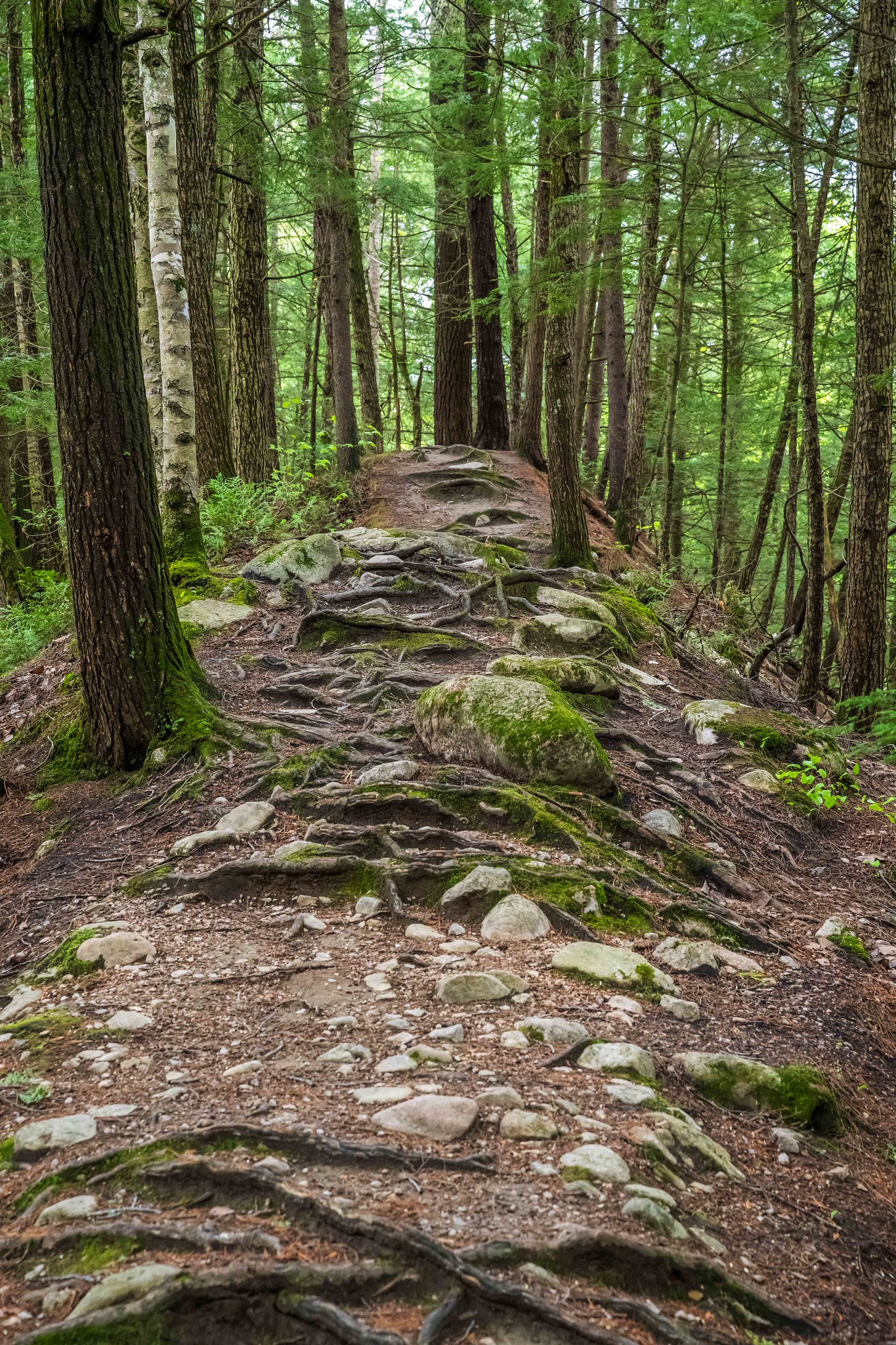 Chutes de Sainte Ursule